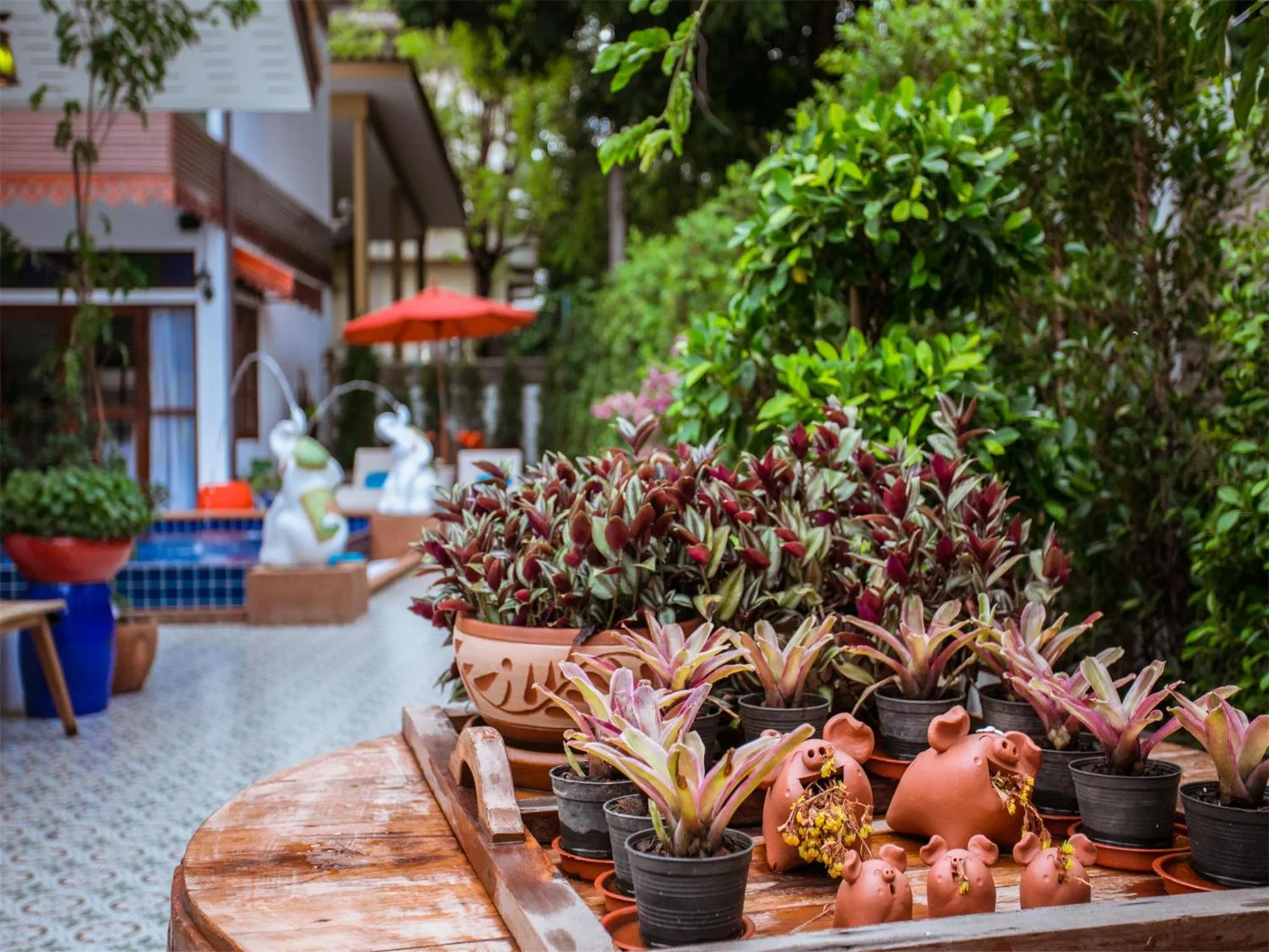 Garden in Hetai Boutique Hotel