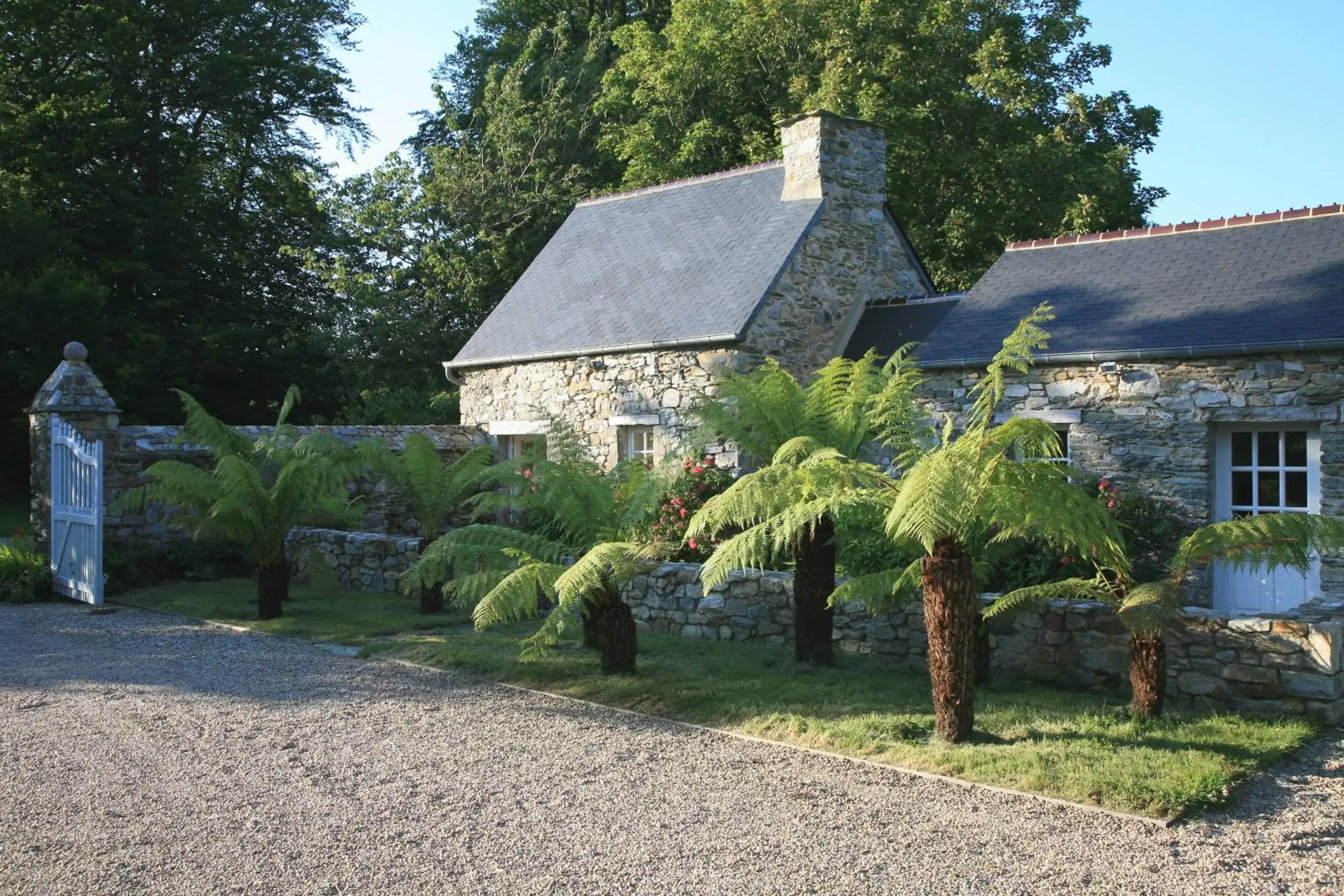 Gîte des Fougères Gîte des Fougères