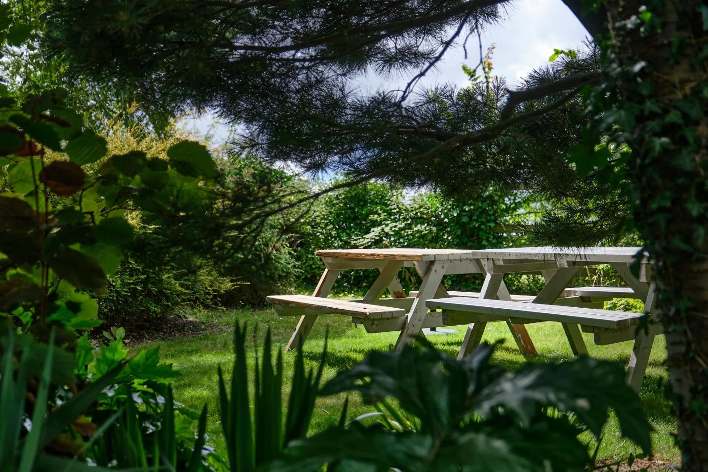 Garden in The Westleton Crown