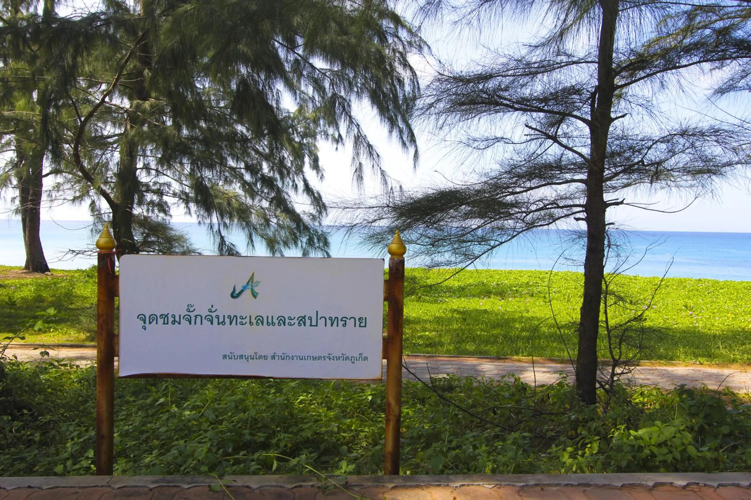 Beach in Maikhao Palm Beach Resort - SHA Plus