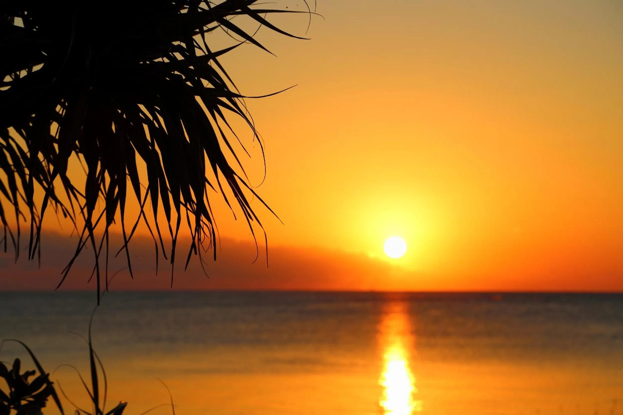 Neighbourhood in Tabinoteitaku Okinawa Bise HOMANN CONCEPT