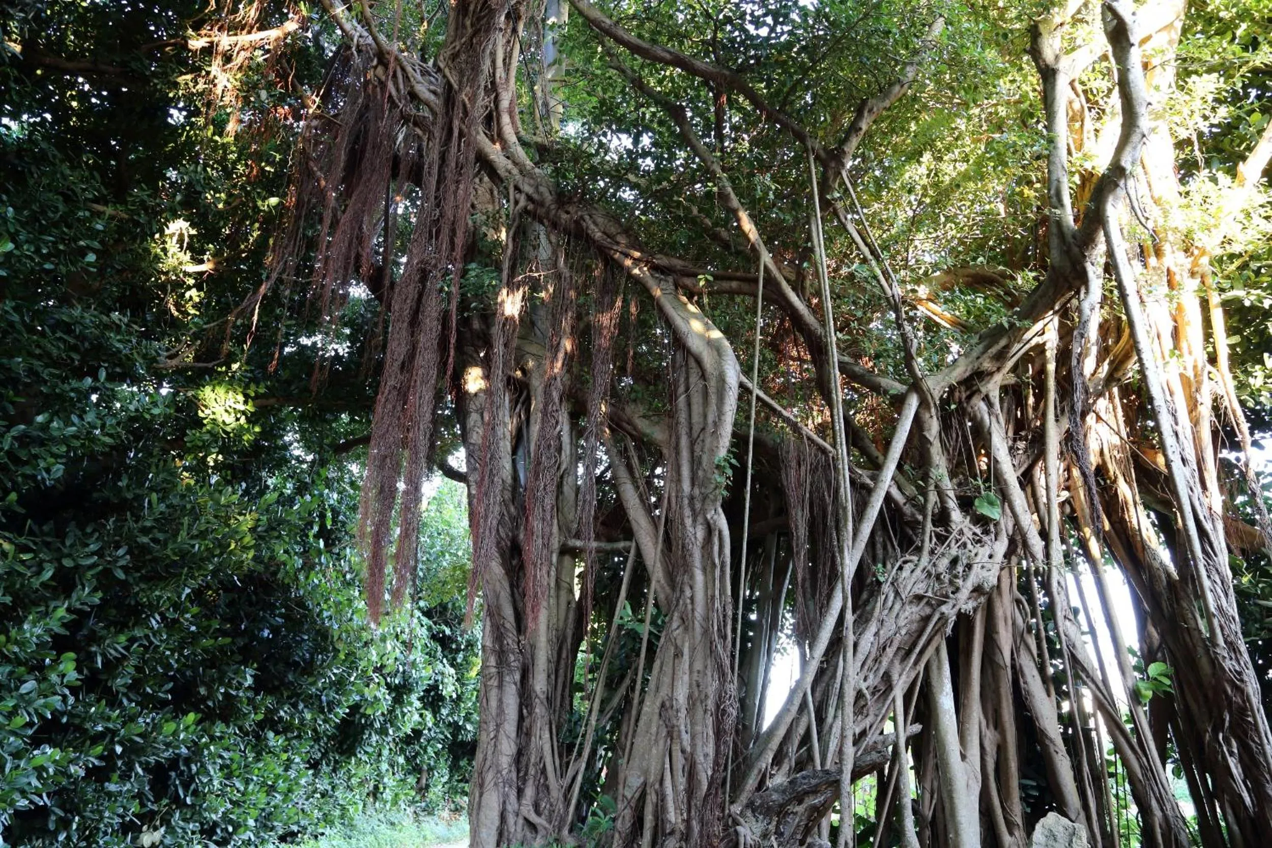 Neighbourhood in Tabinoteitaku Okinawa Bise HOMANN CONCEPT