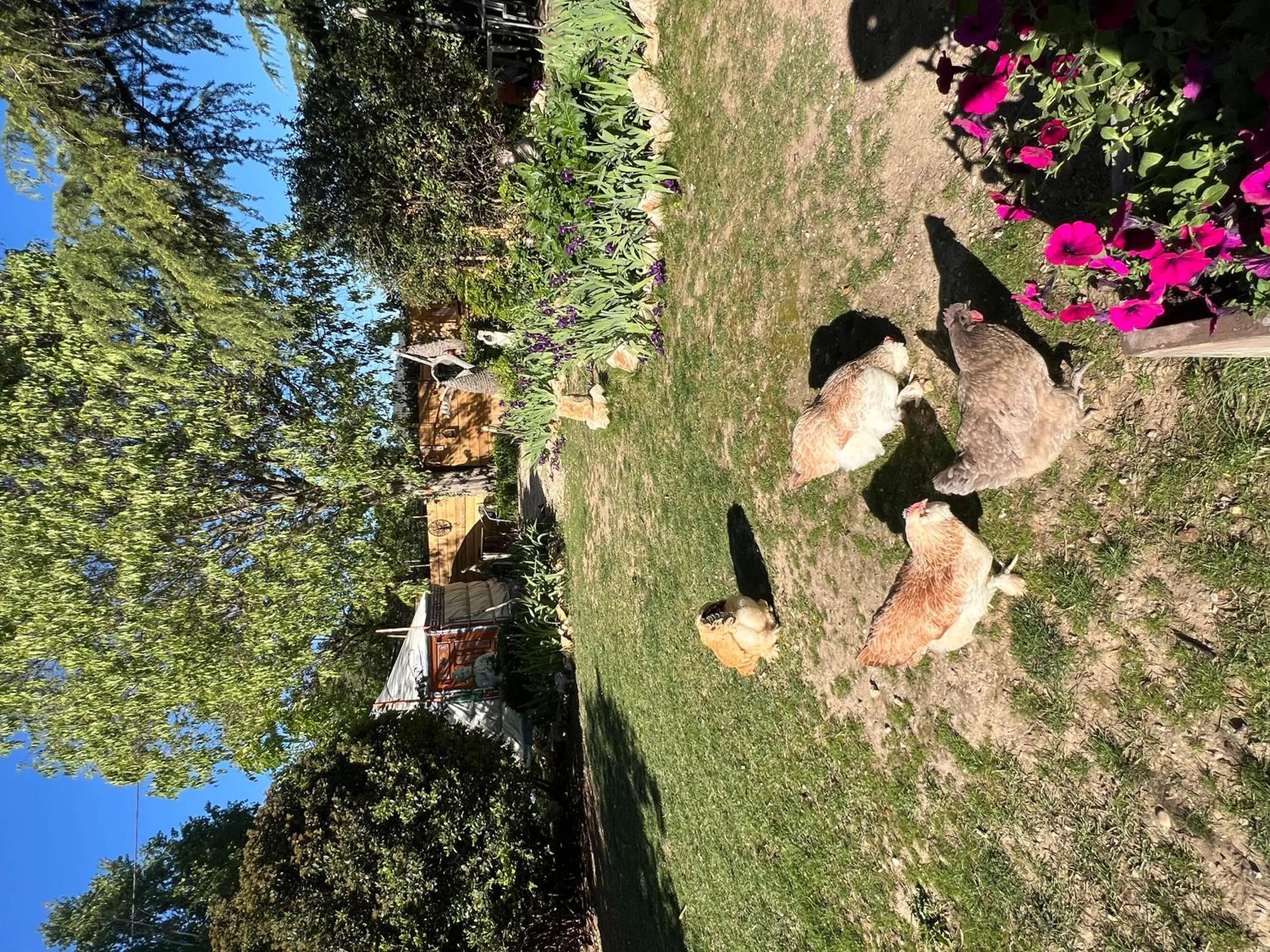 Bastide du Bonheur Saint Donat