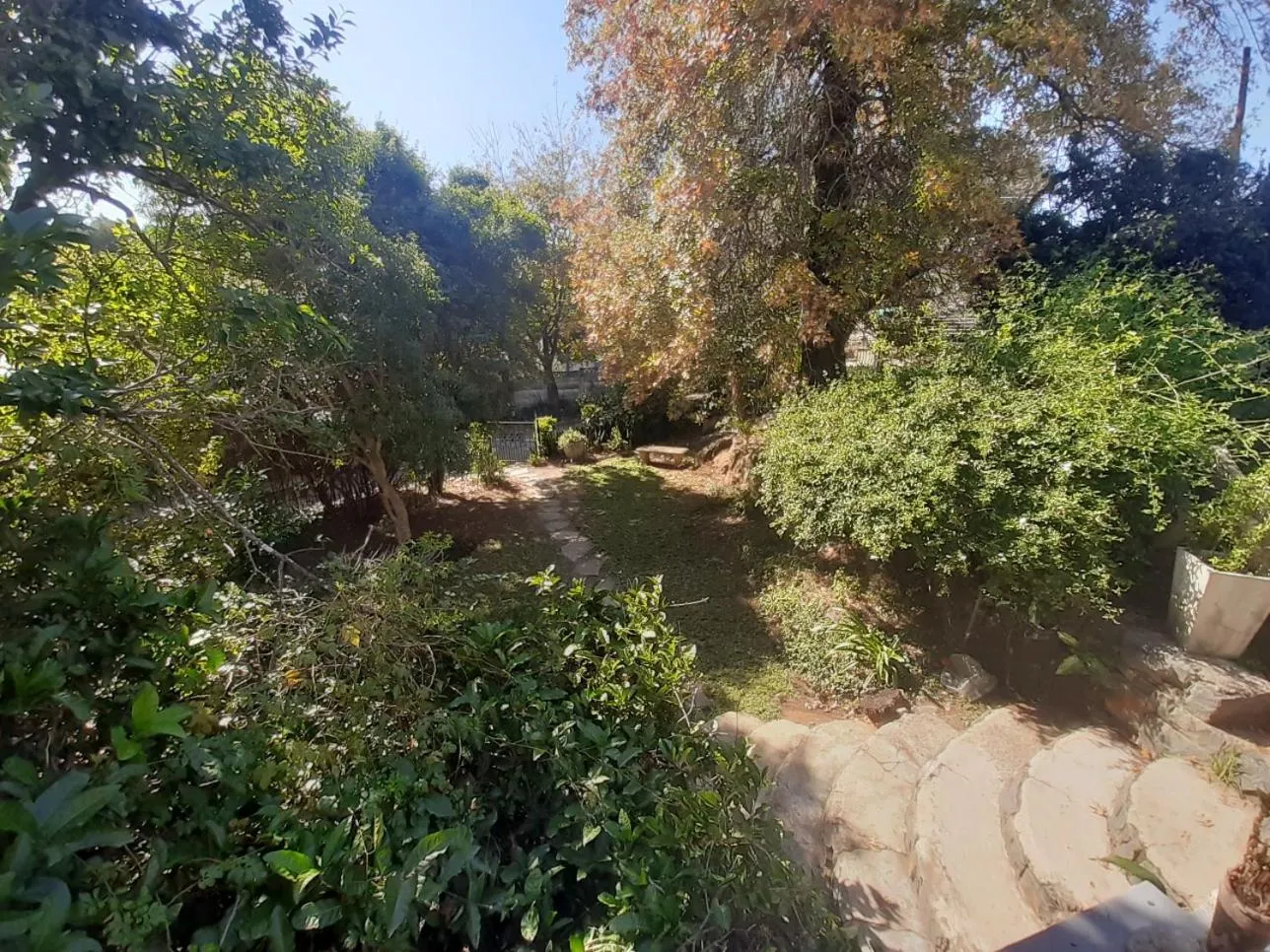 Spring in Lavender Lane