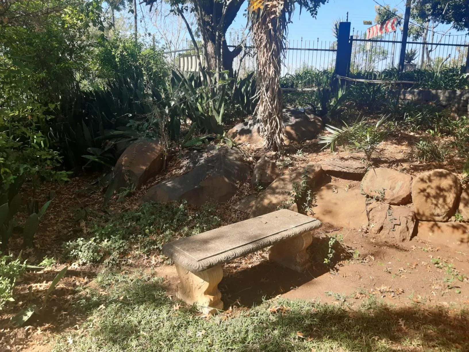 Garden in Lavender Lane