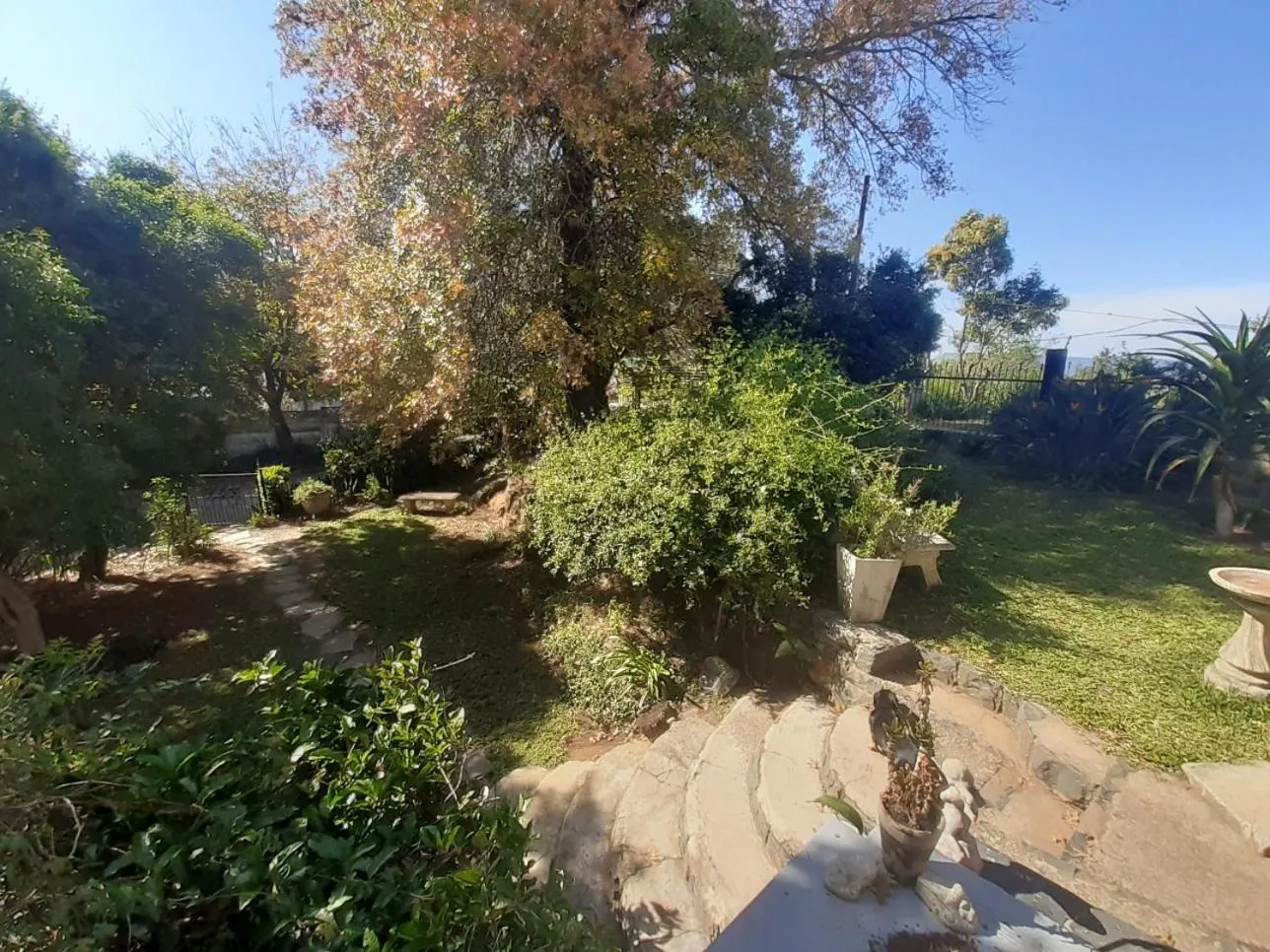 Day in Lavender Lane