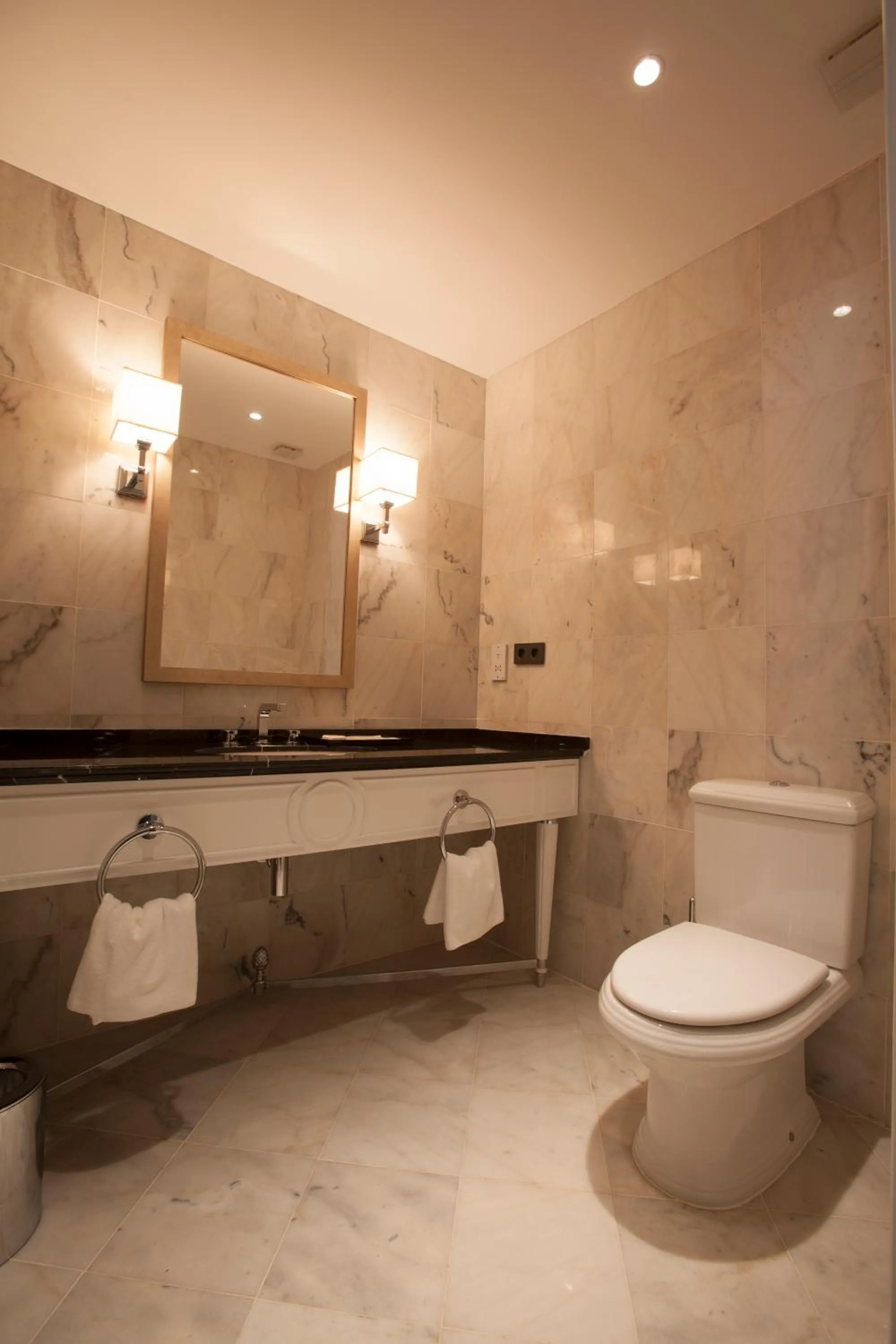 Toilet in Palm Camayenne