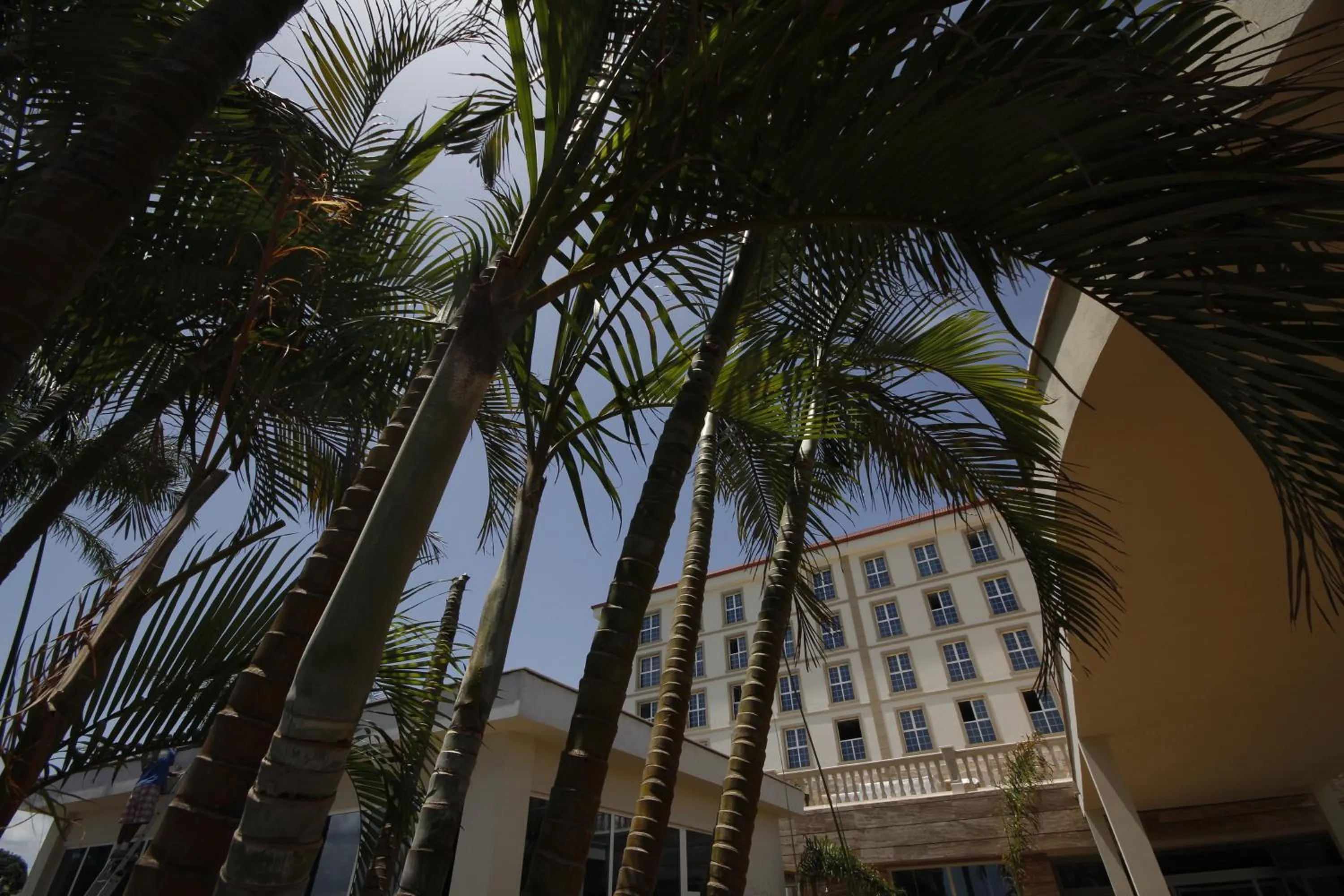 Property building in Palm Camayenne