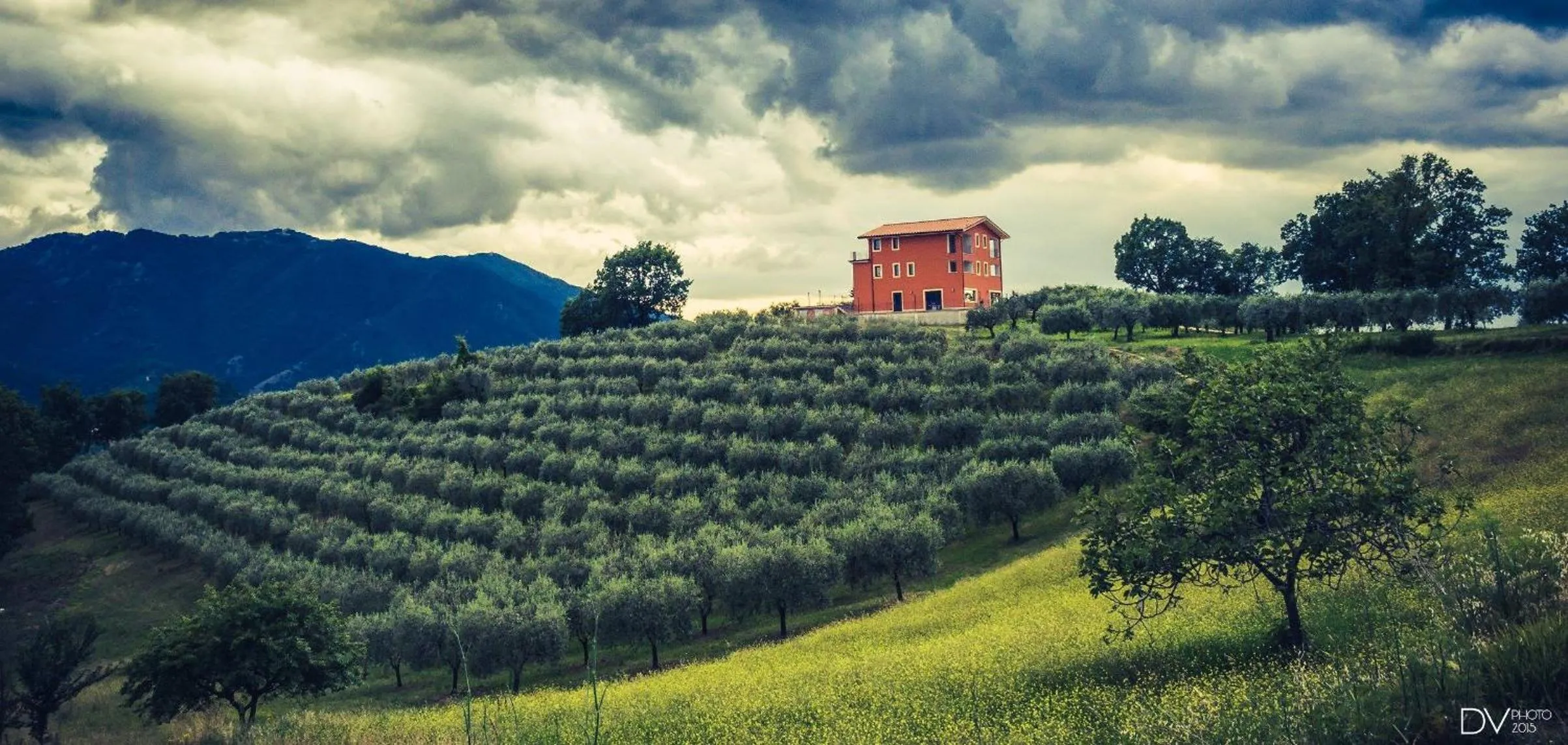 View (from property/room) in Santa Giusta