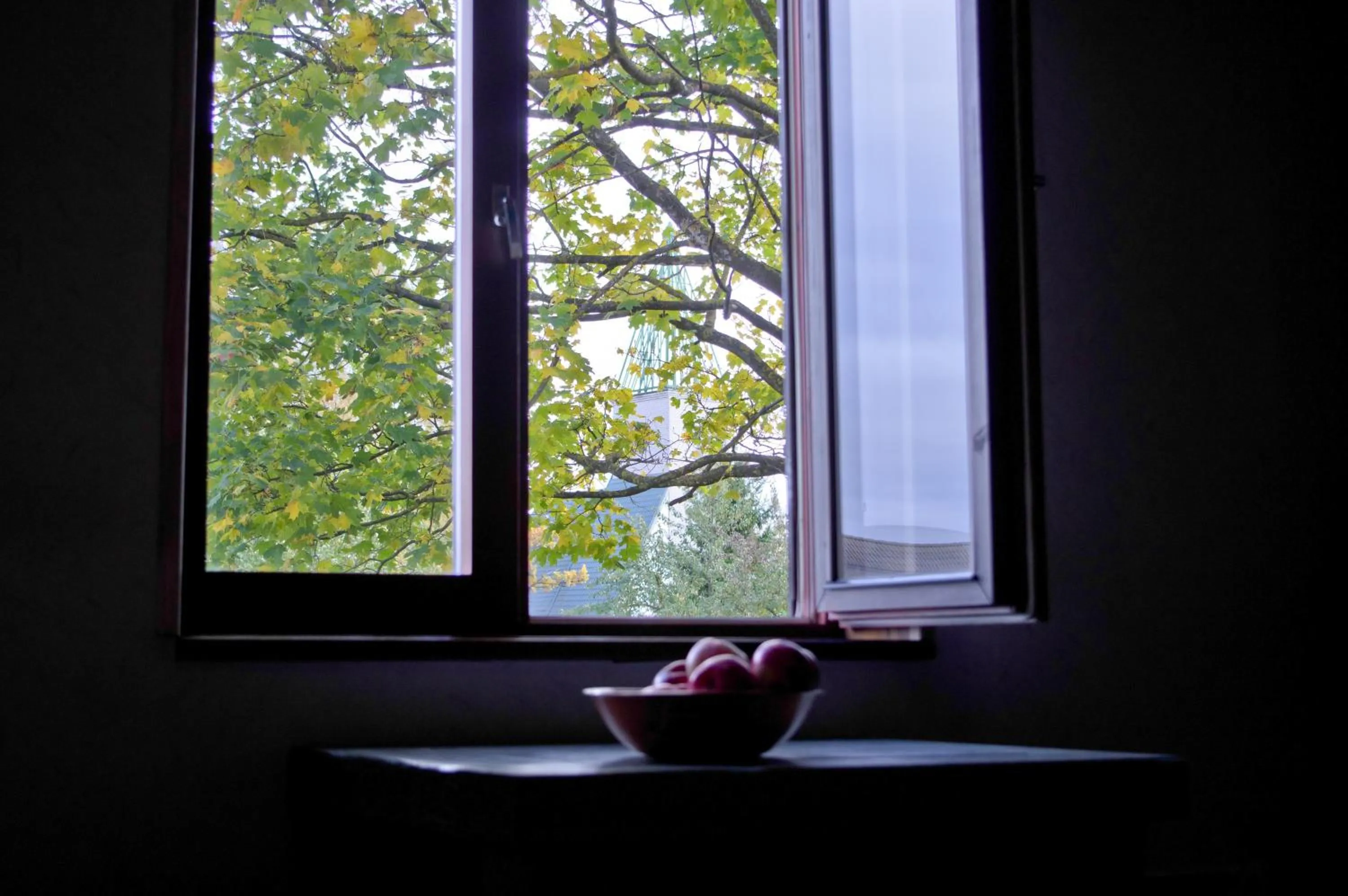 Property building in Salme Apartment