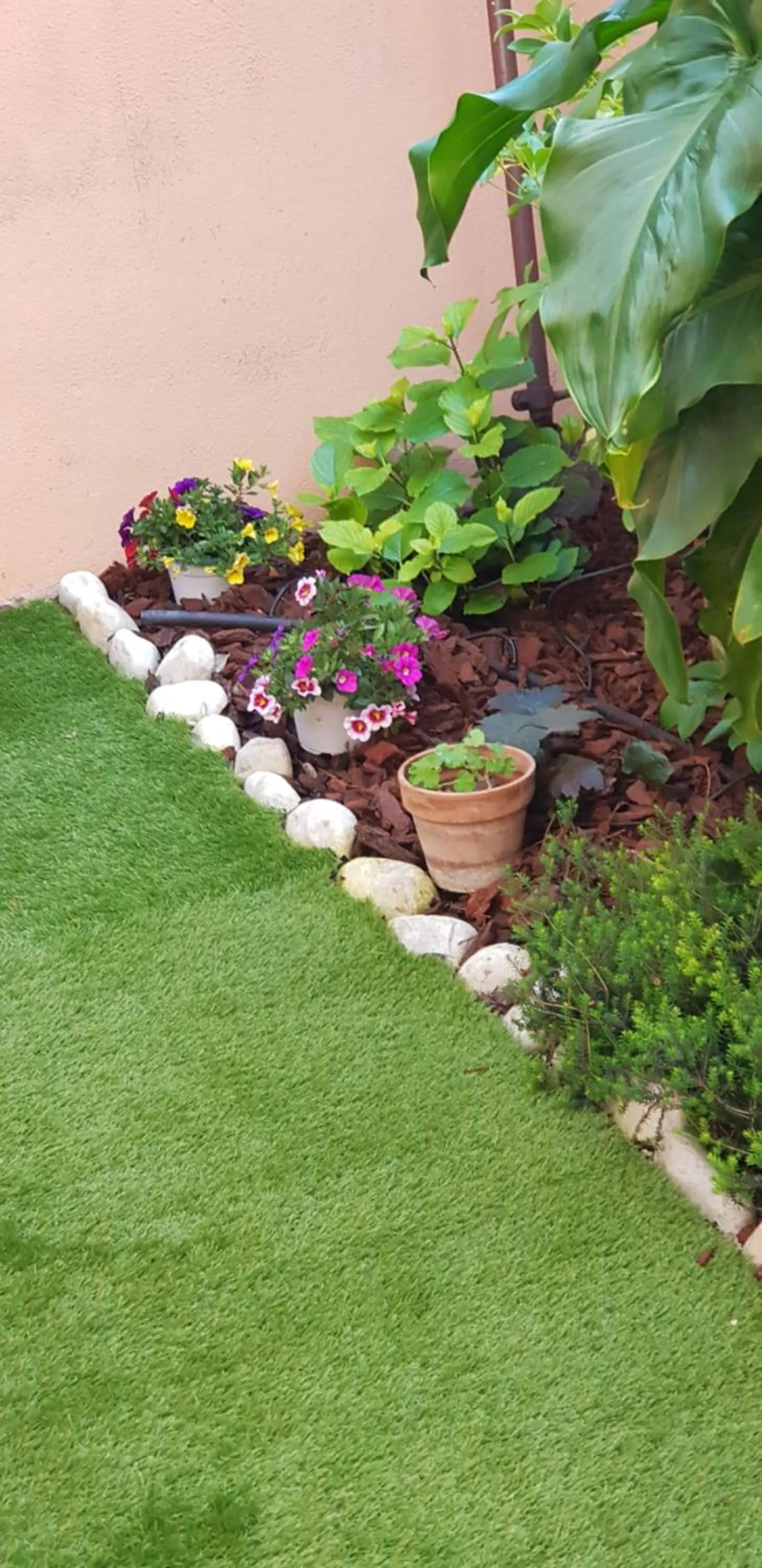 Garden in B&B Vista su Roma