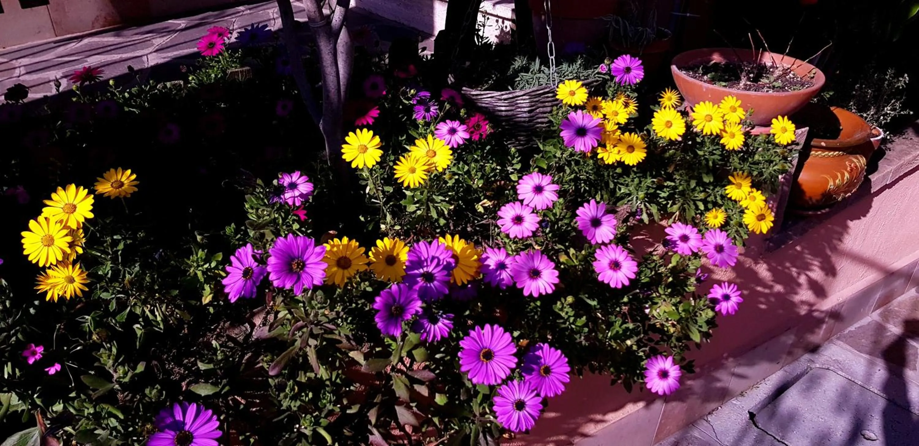 Garden in B&B Vista su Roma