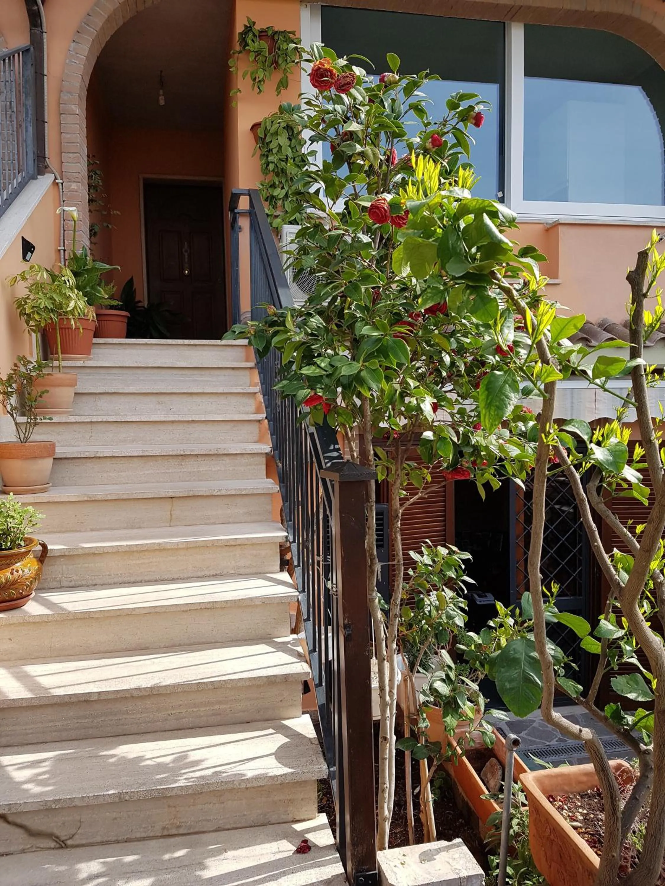 Property building in B&B Vista su Roma