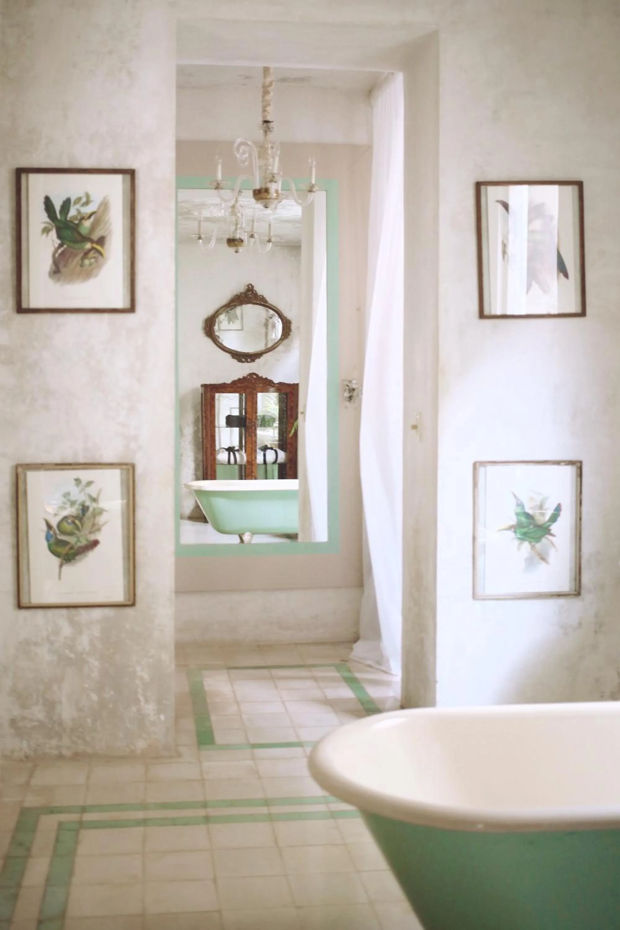 Coqui Coqui Meson de Malleville - Valladolid