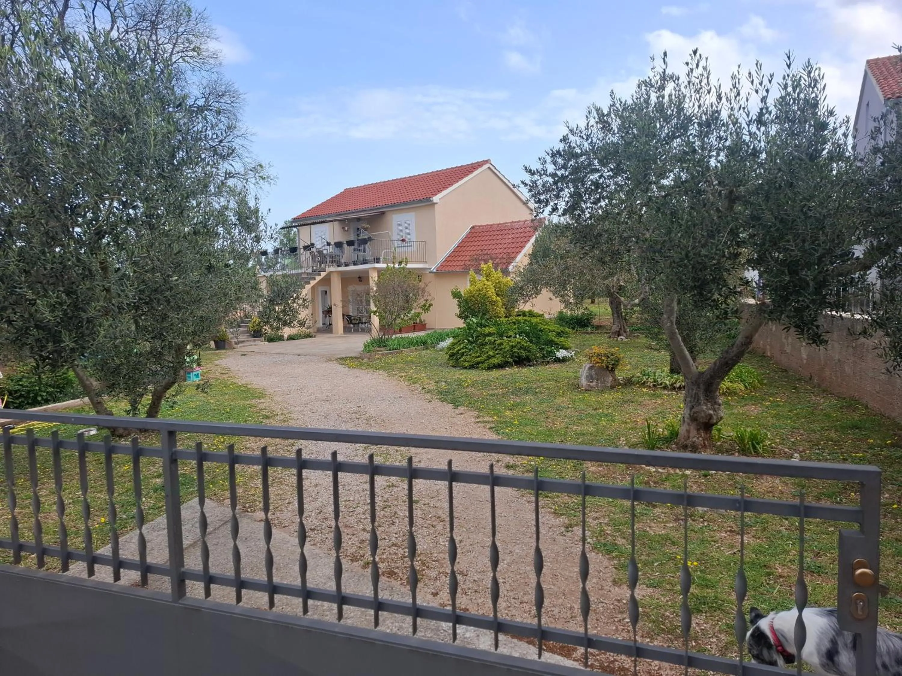 Apartment Nika
