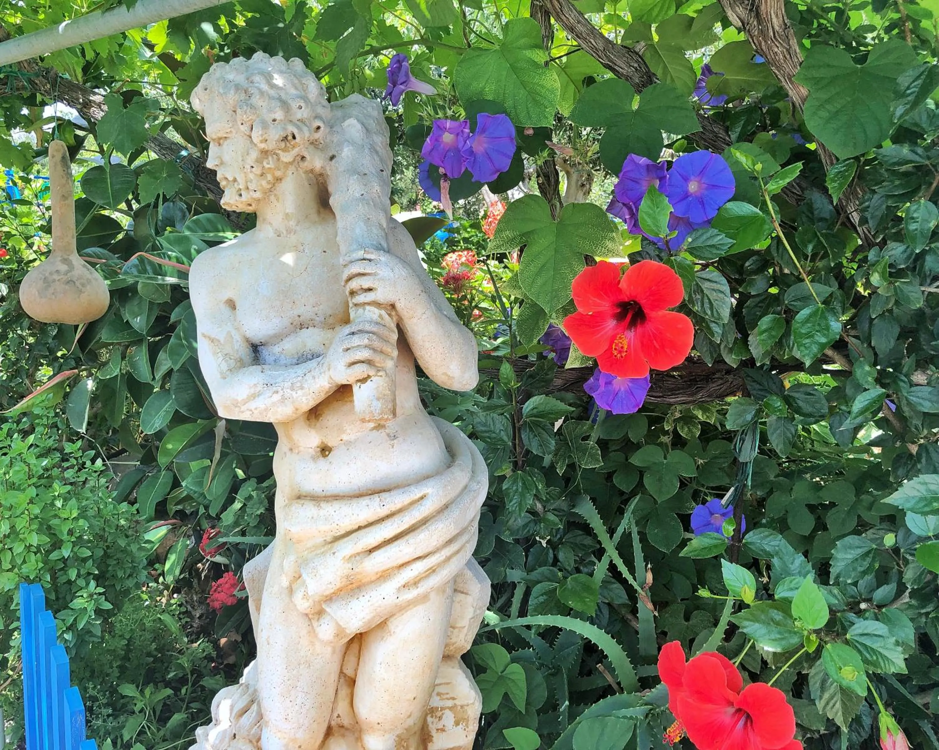 Garden in Elounda Heights (Adults Only)