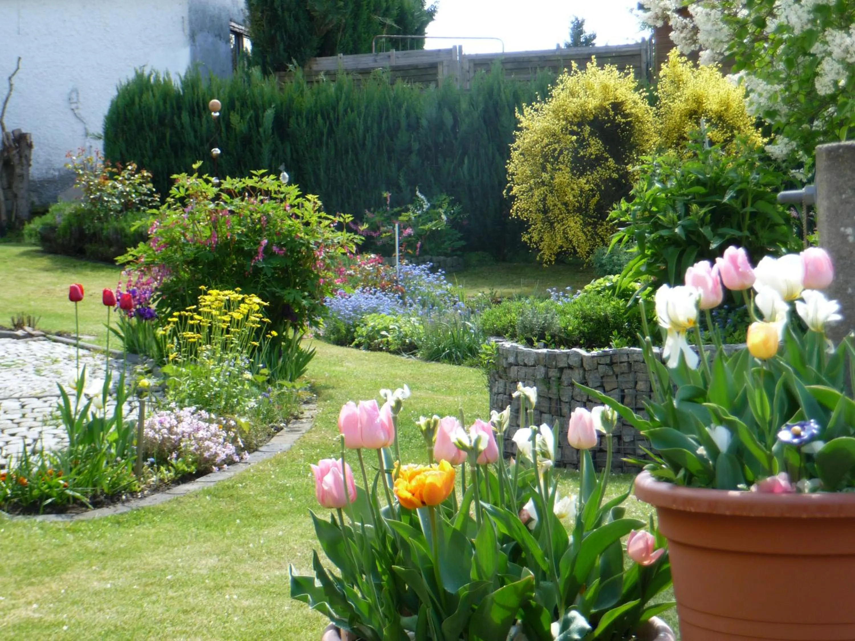 Garden in Ferienwohnung Werner