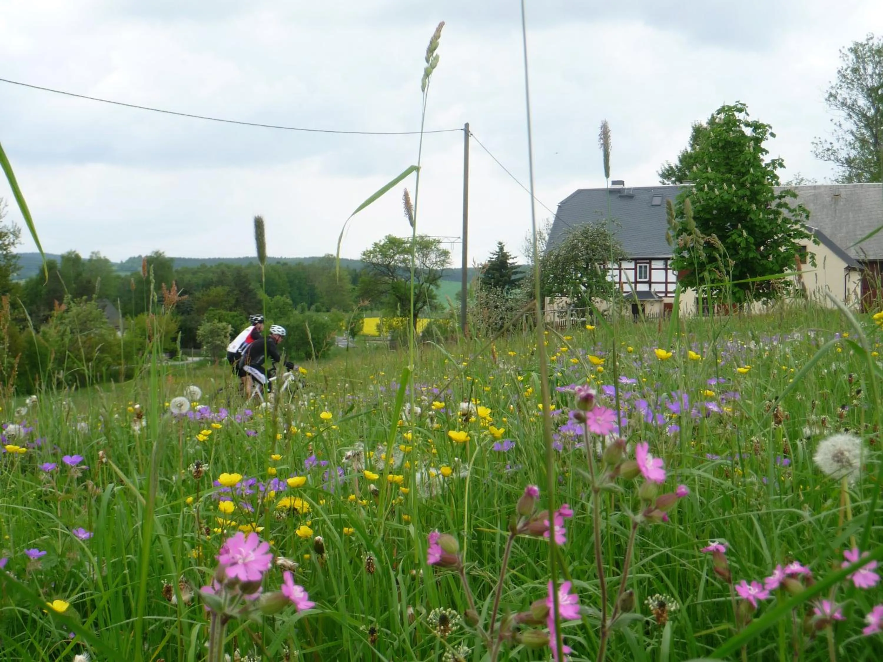 Cycling in Ferienwohnung Werner