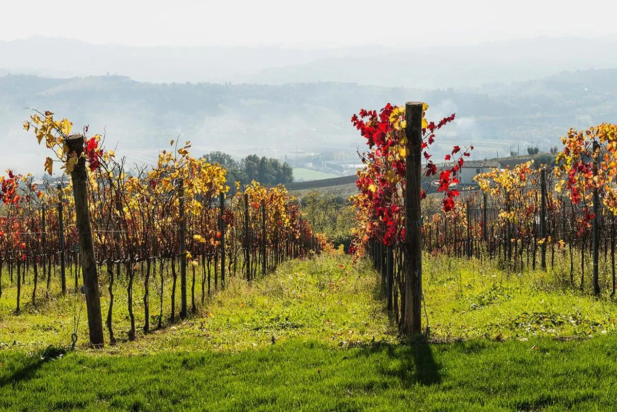 Spring in Officina del Sole