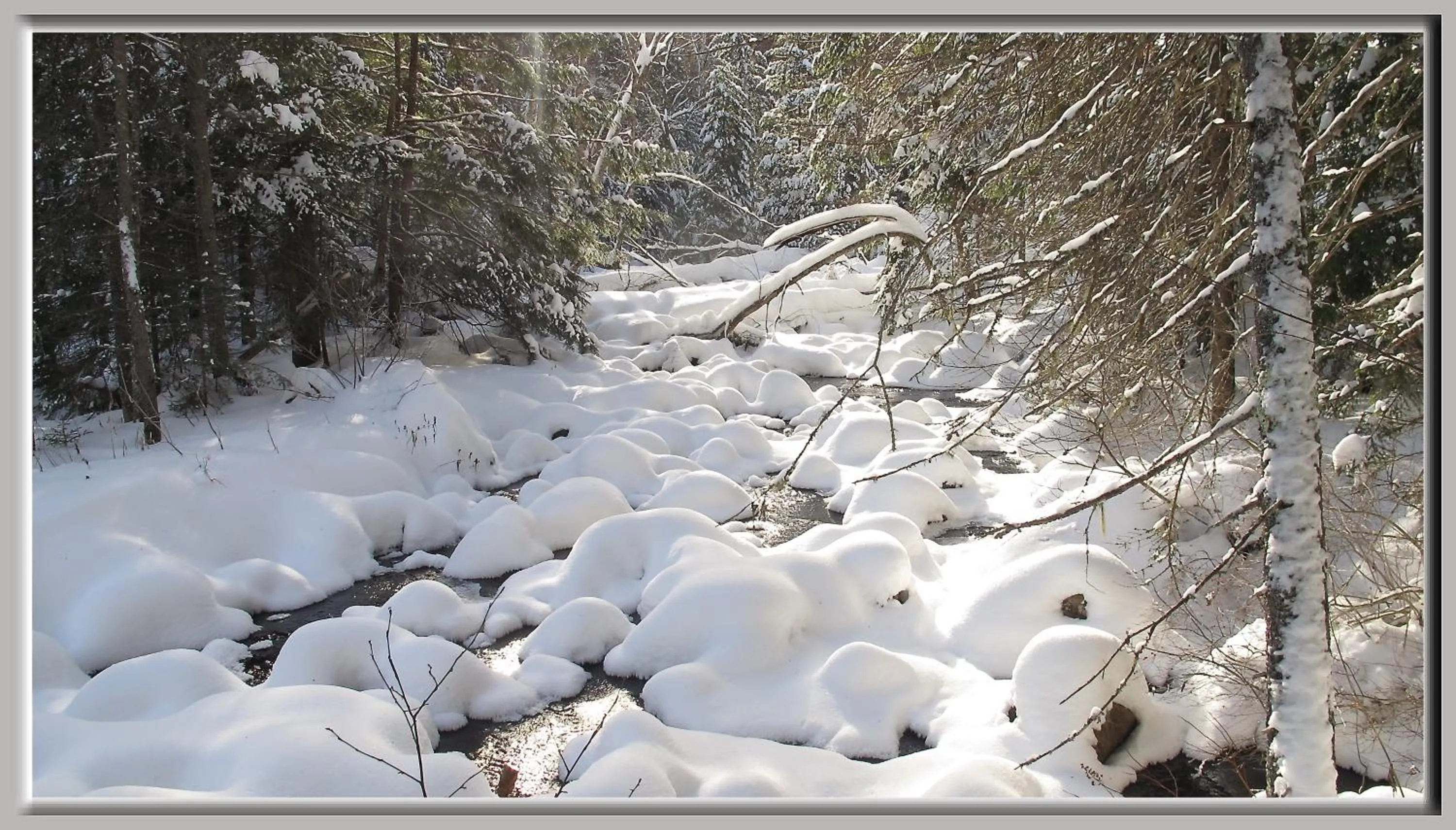 Winter in Gîte La Belle Aventure B&B