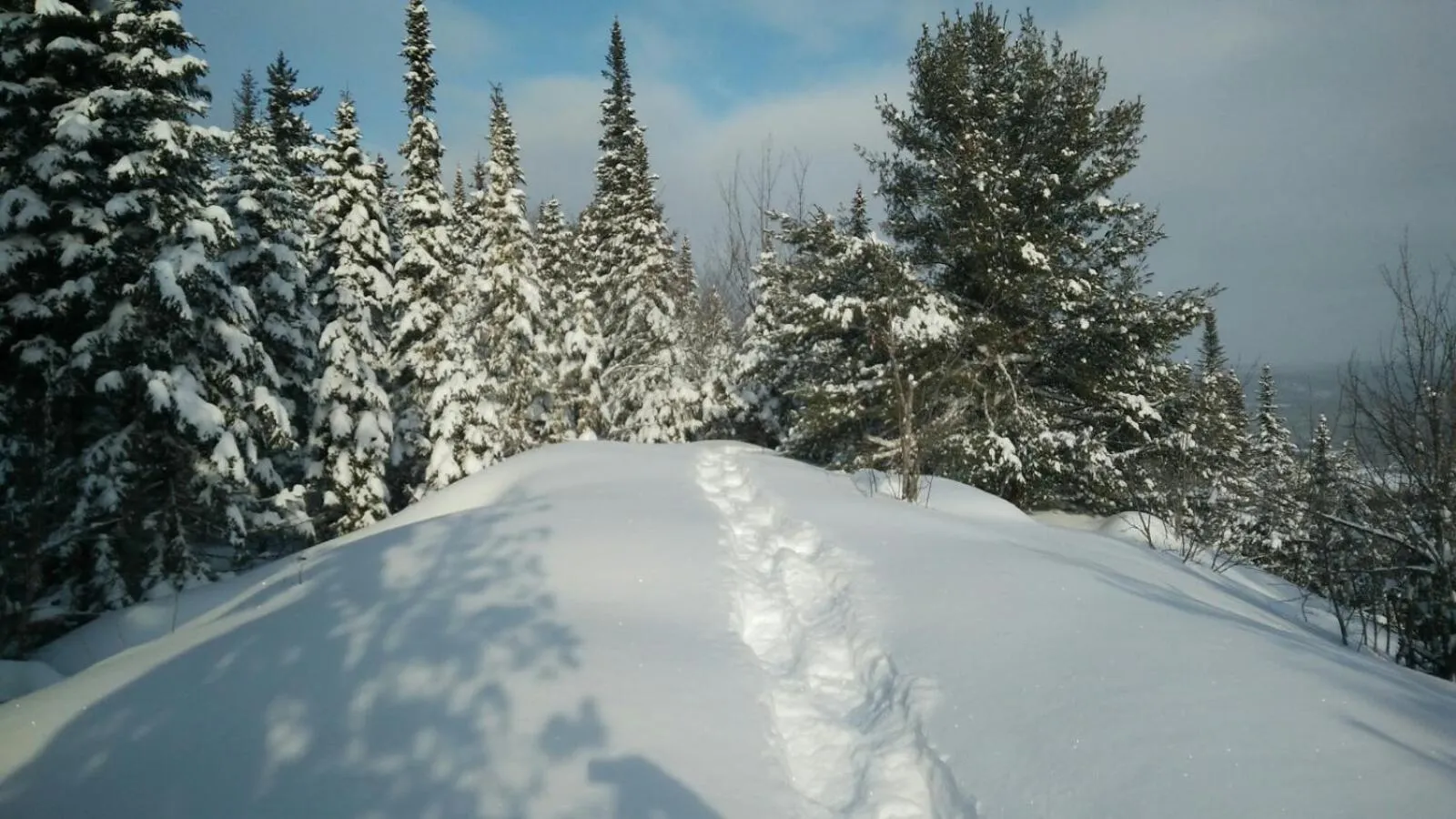 Winter in Gîte La Belle Aventure B&B