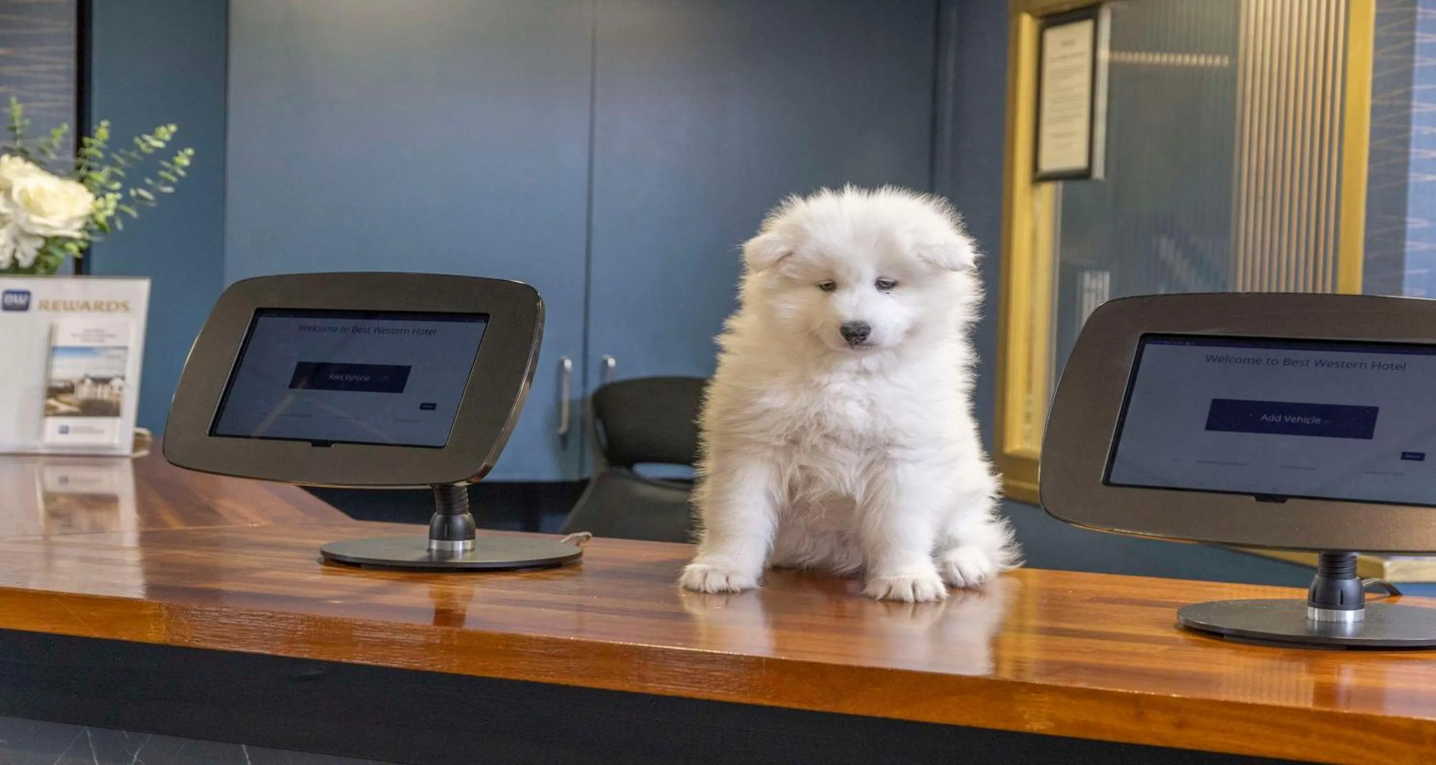 Property building in Hotel St Pierre, Sure Hotel Collection by Best Western