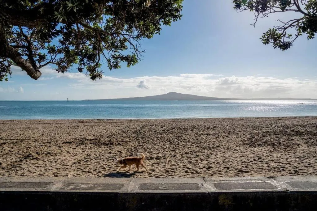Beach in Stay Mission Bay