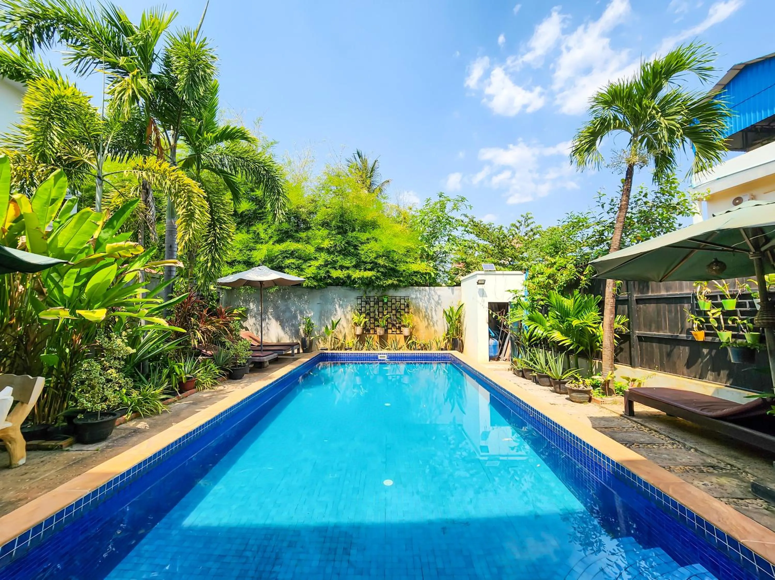 Swimming pool in Nika's House