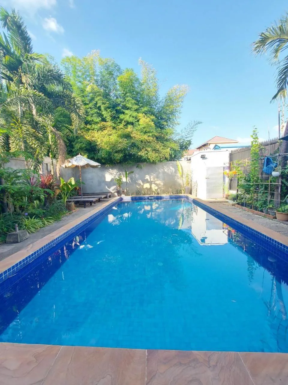 Swimming pool in Nika's House