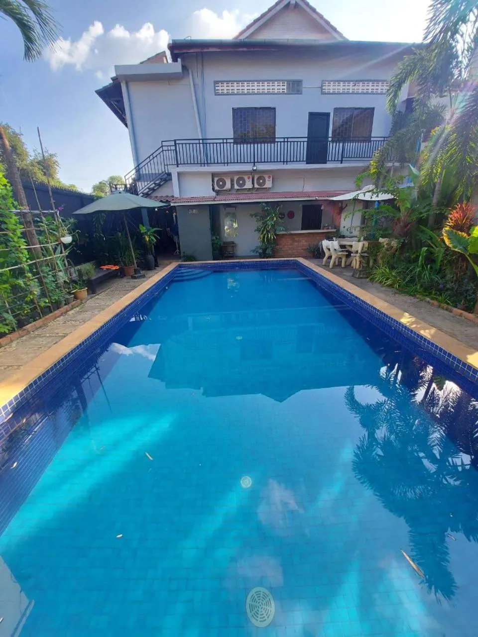 Swimming pool in Nika's House