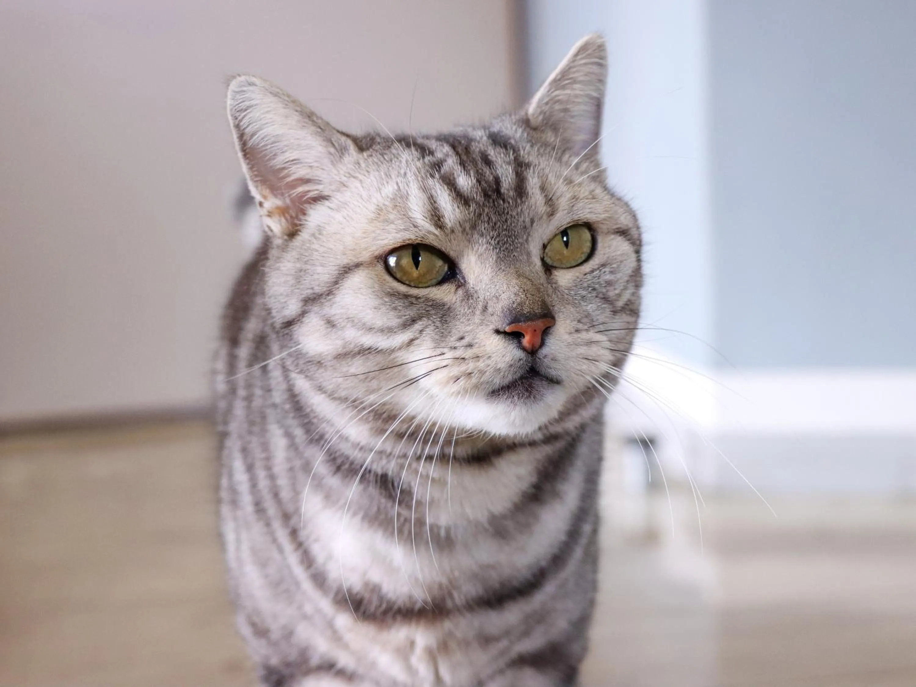 Other in Business Hotel Nishikiryu