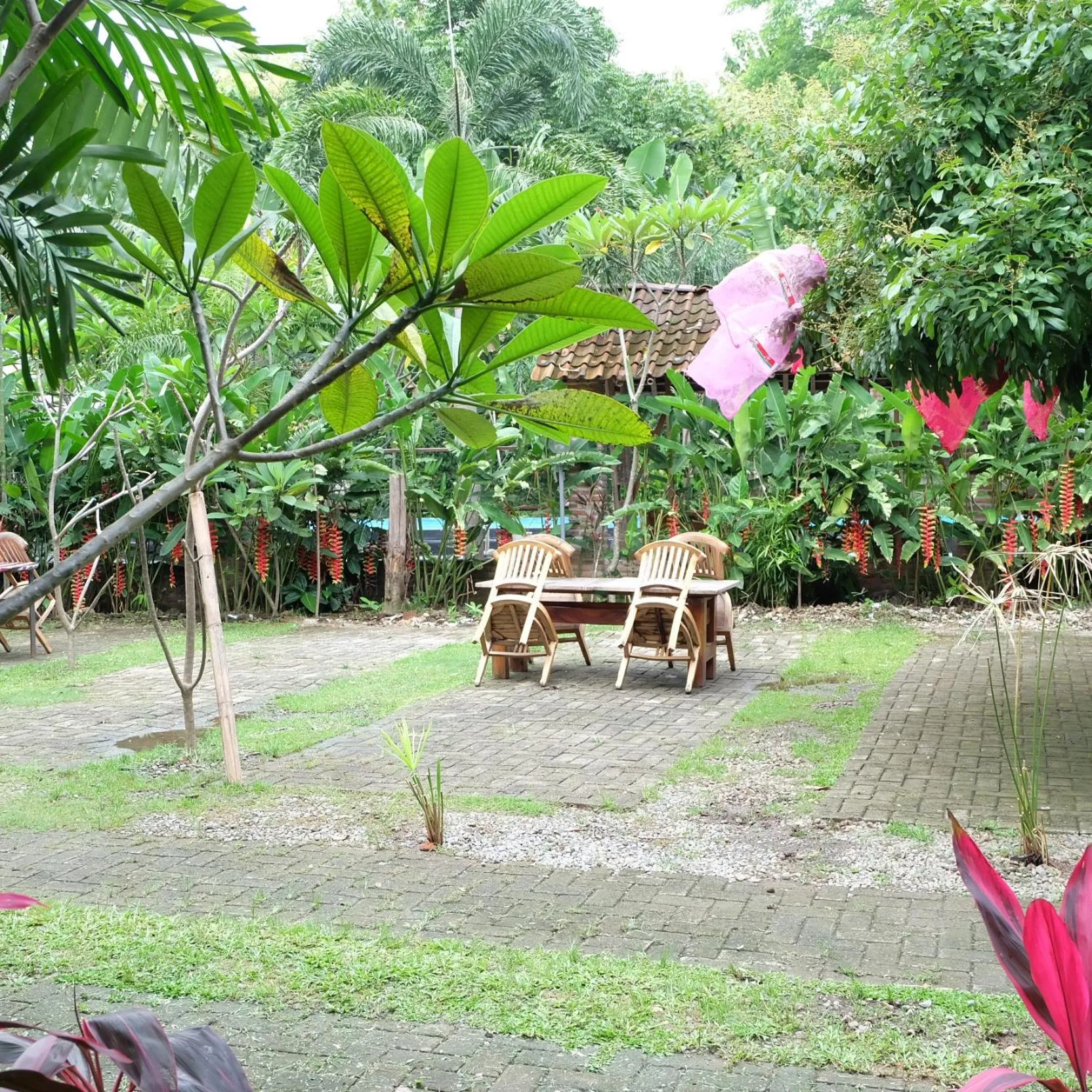 Kali Catur Resort