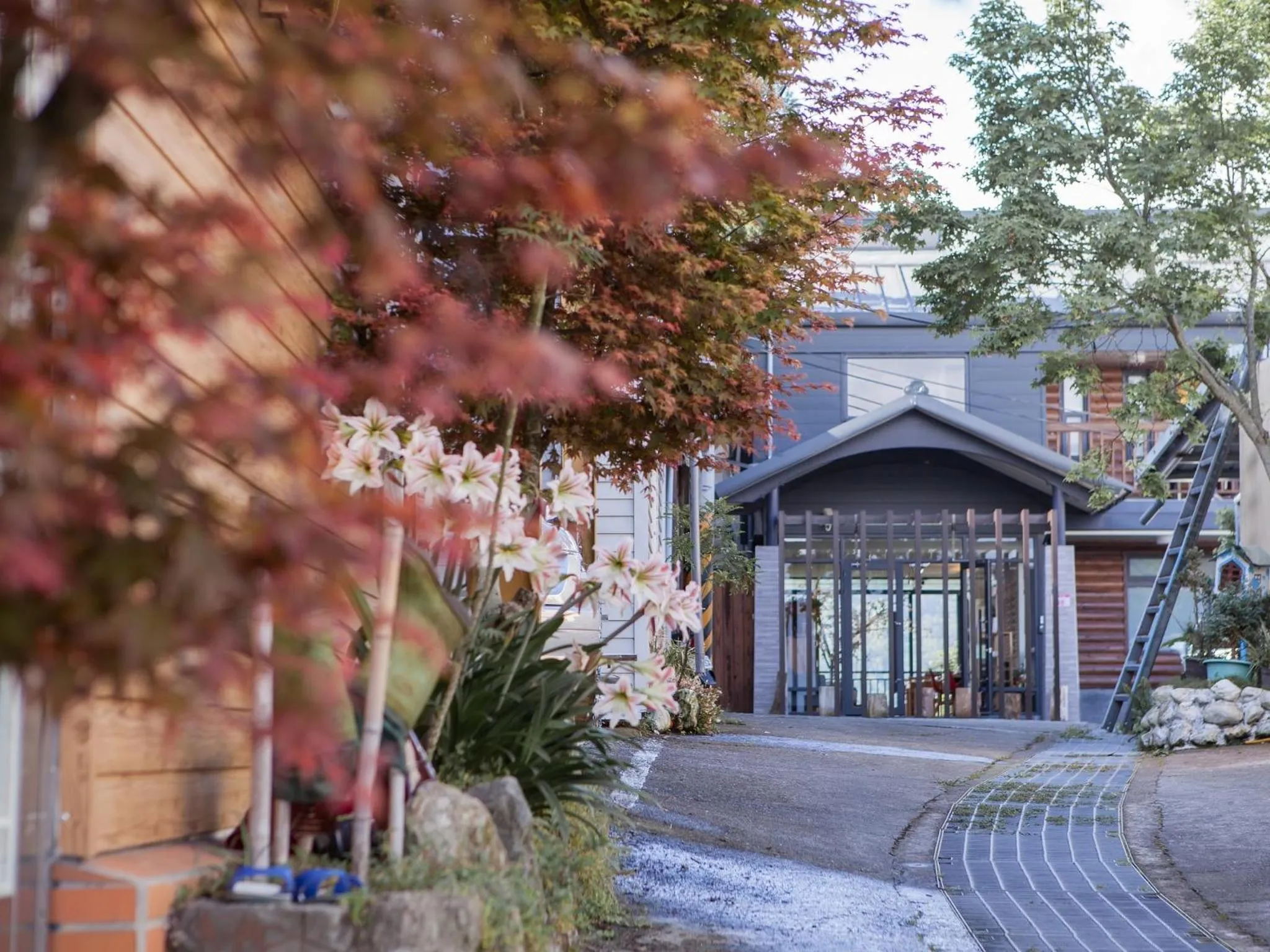 Facade/entrance in Cloud Villa