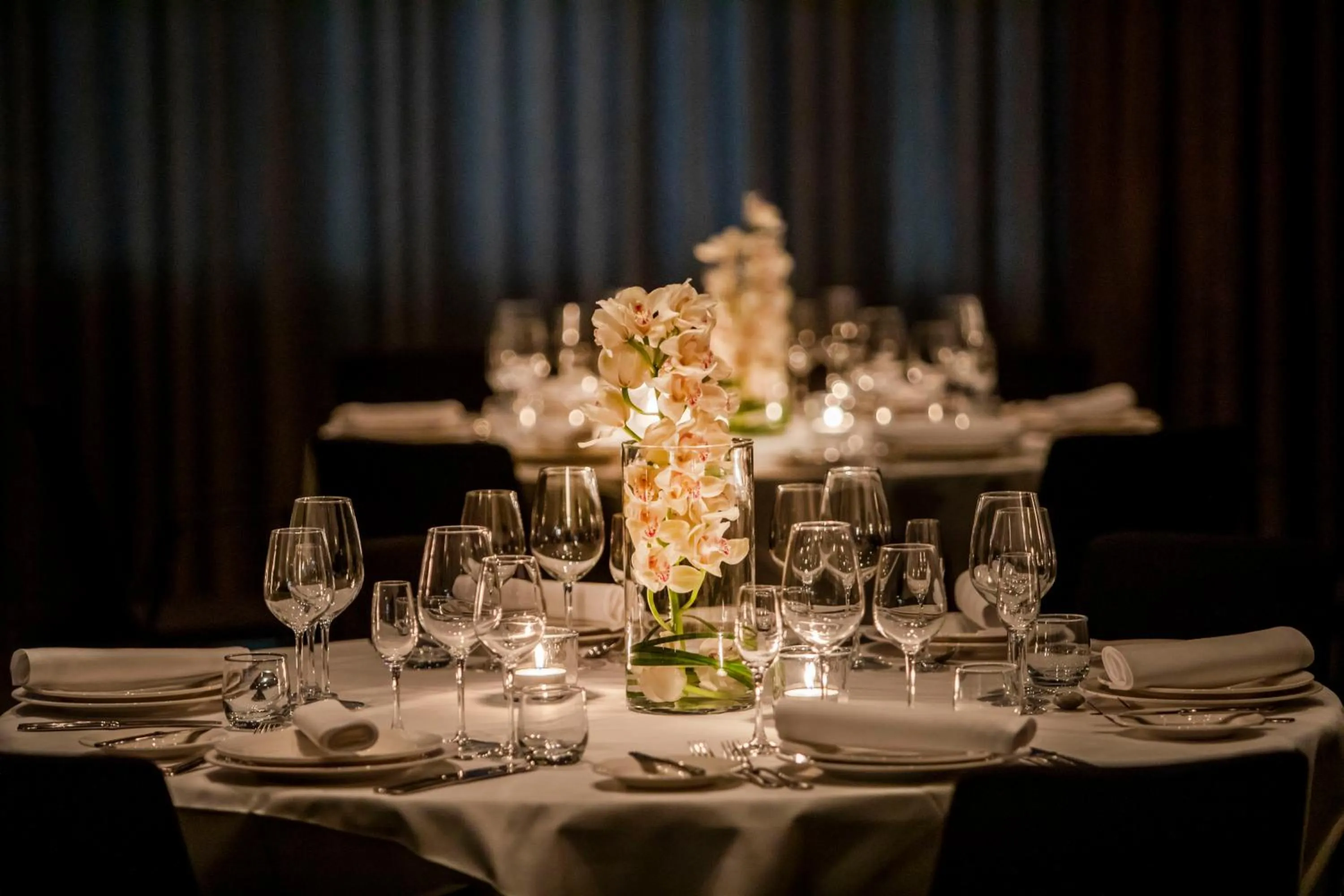 Banquet/Function facilities in Radisson Blu Scandinavia Hotel, Copenhagen