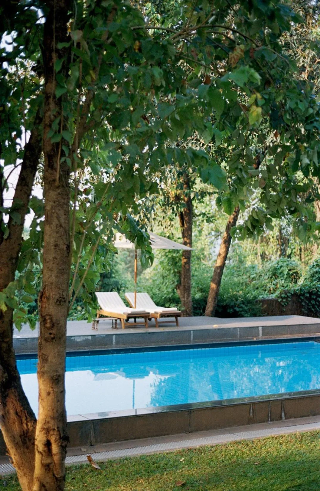 Swimming pool in The Postcard Velha, Goa