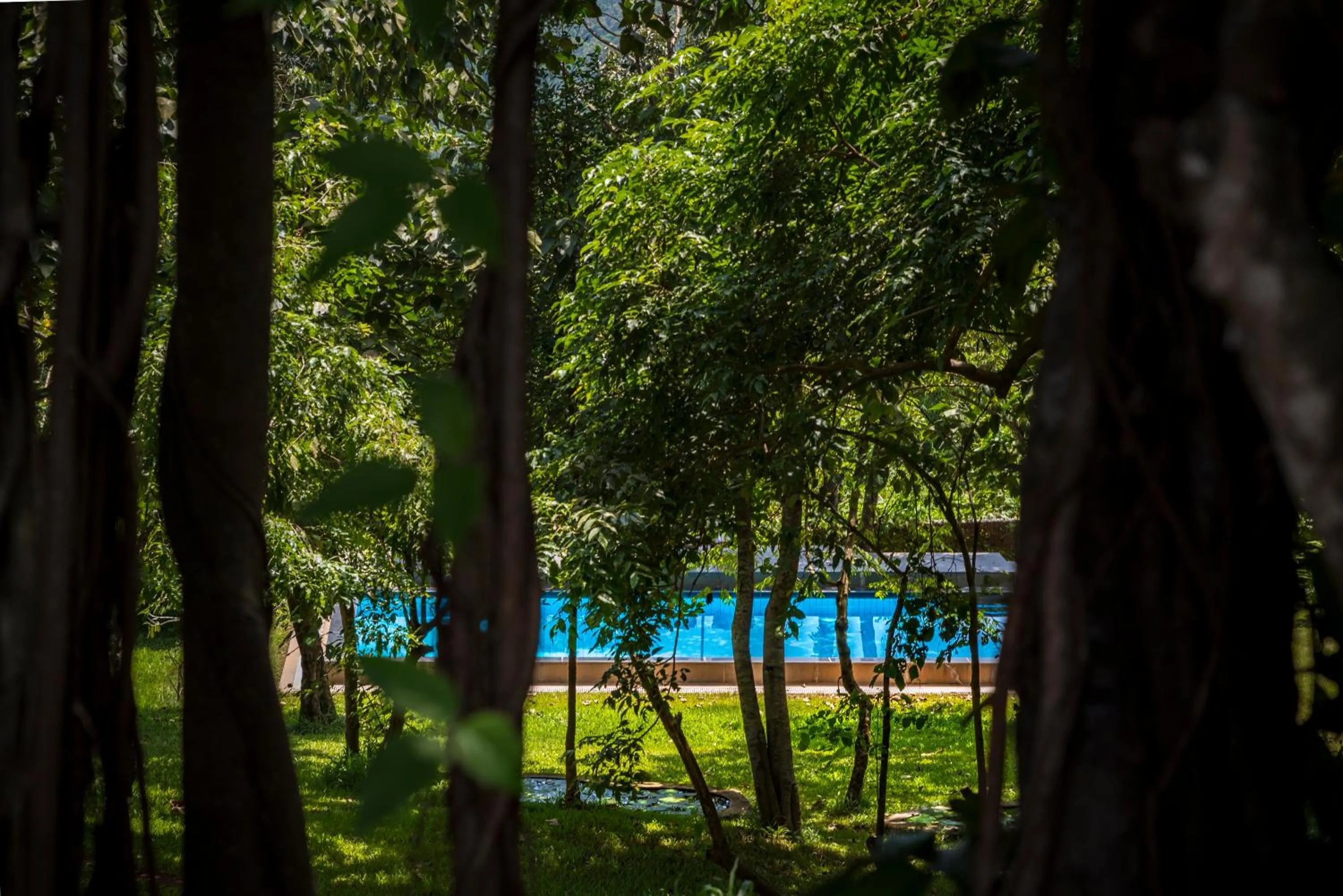 Natural landscape in The Postcard Velha, Goa