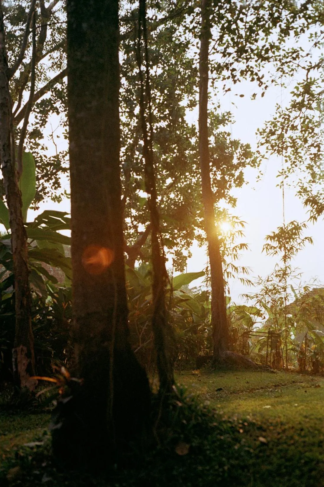 Natural landscape in The Postcard Velha, Goa