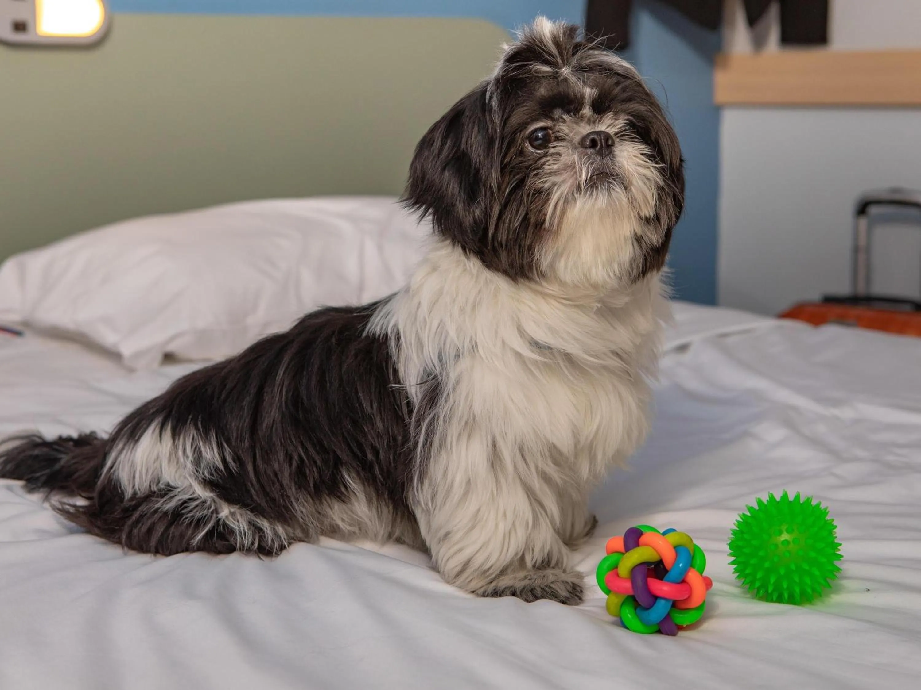 Bedroom in ibis budget SP Frei Caneca