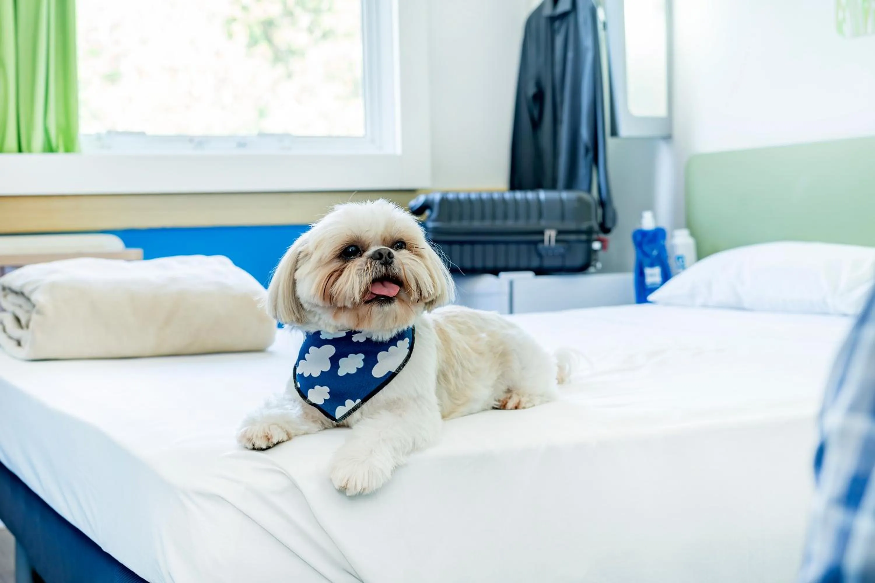 Facade/entrance, Bed in ibis budget Piracicaba