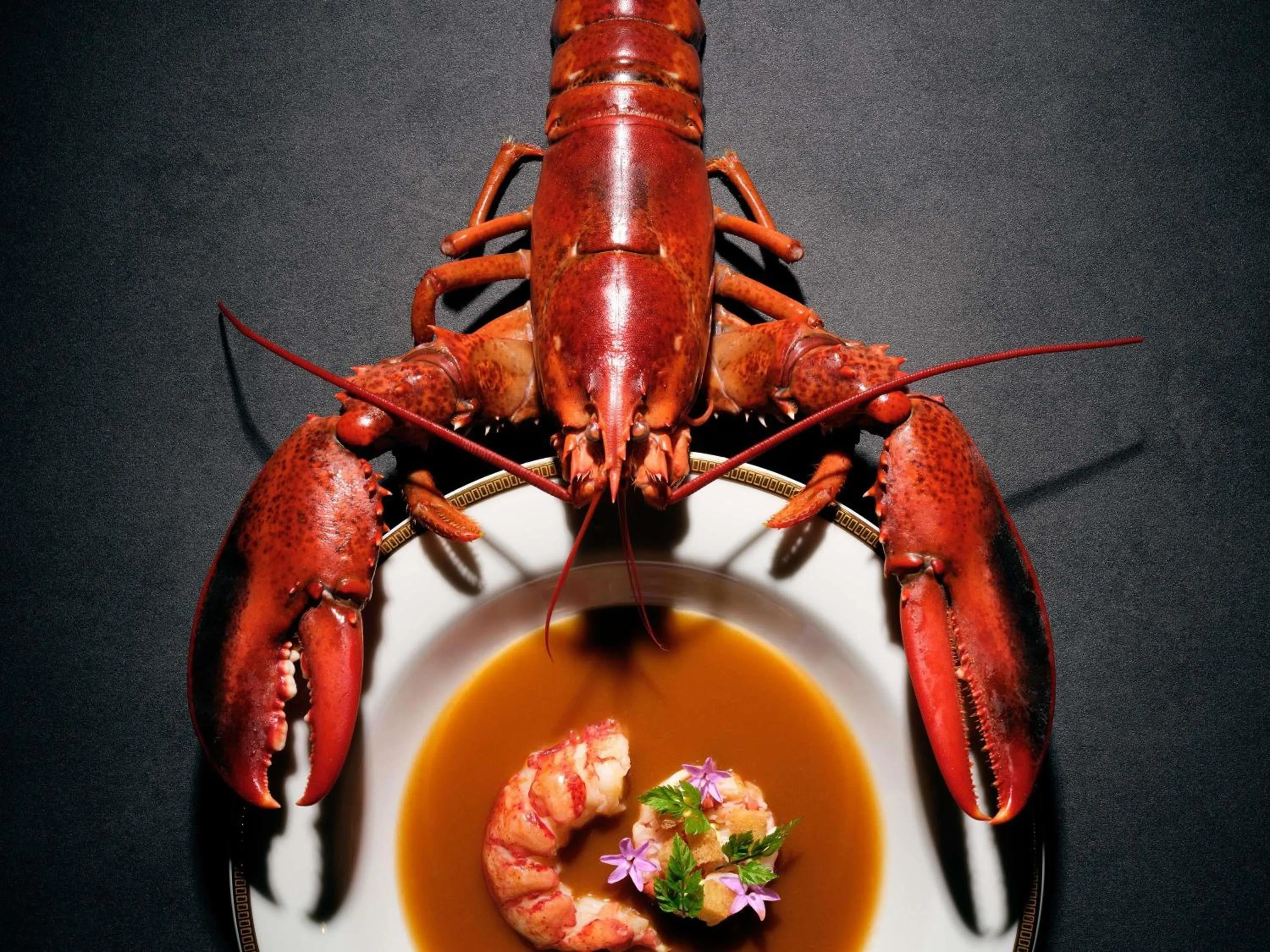 Restaurant/places to eat in Sofitel Singapore City Centre