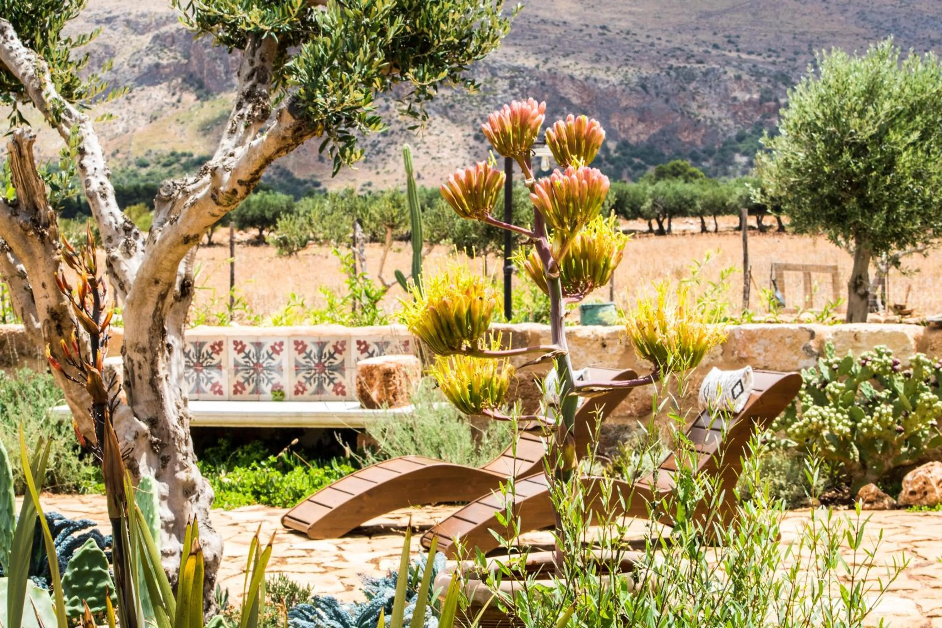 Natural landscape in Baglio Giammaccaro