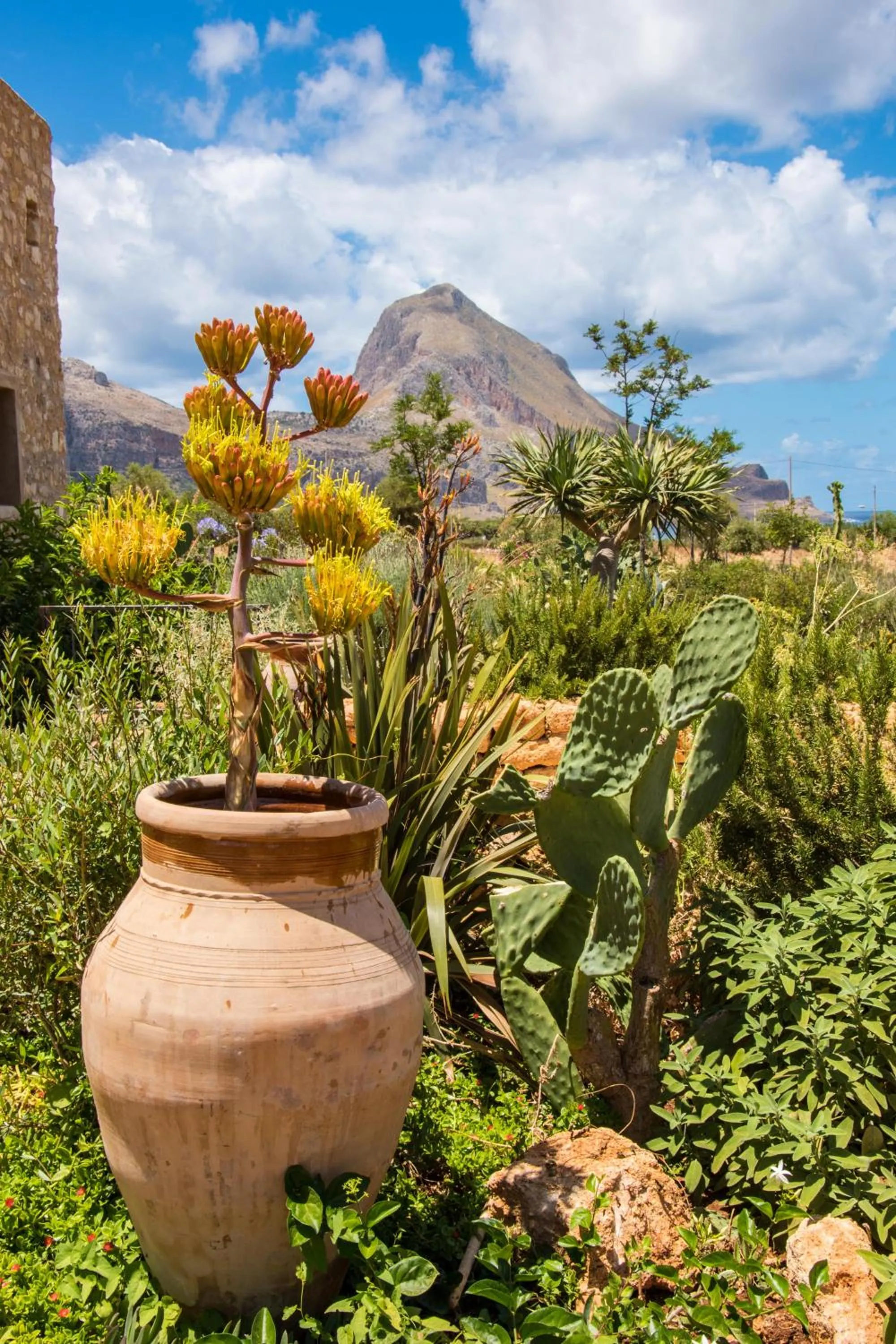 Garden in Baglio Giammaccaro