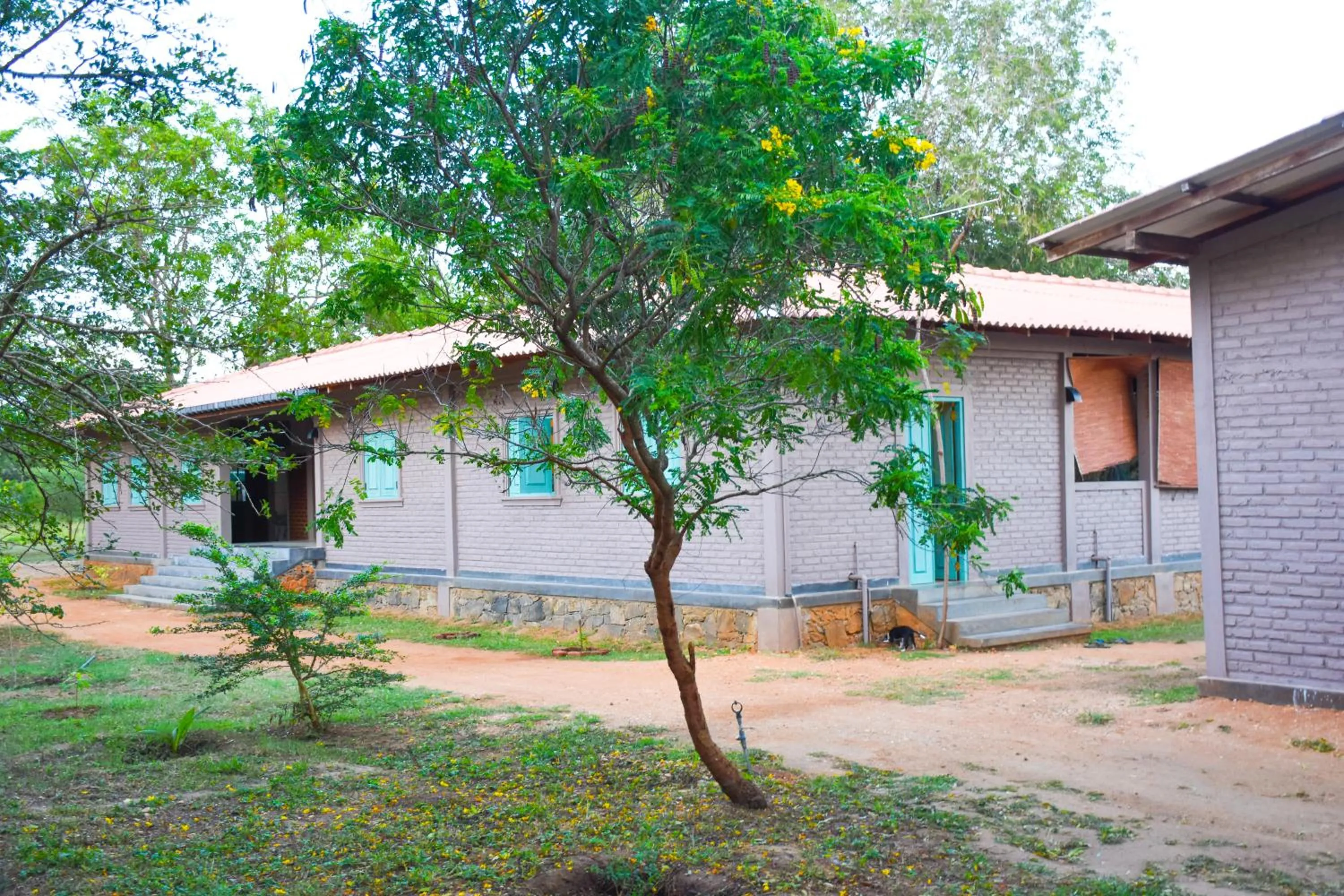 Property building in Hide Yala
