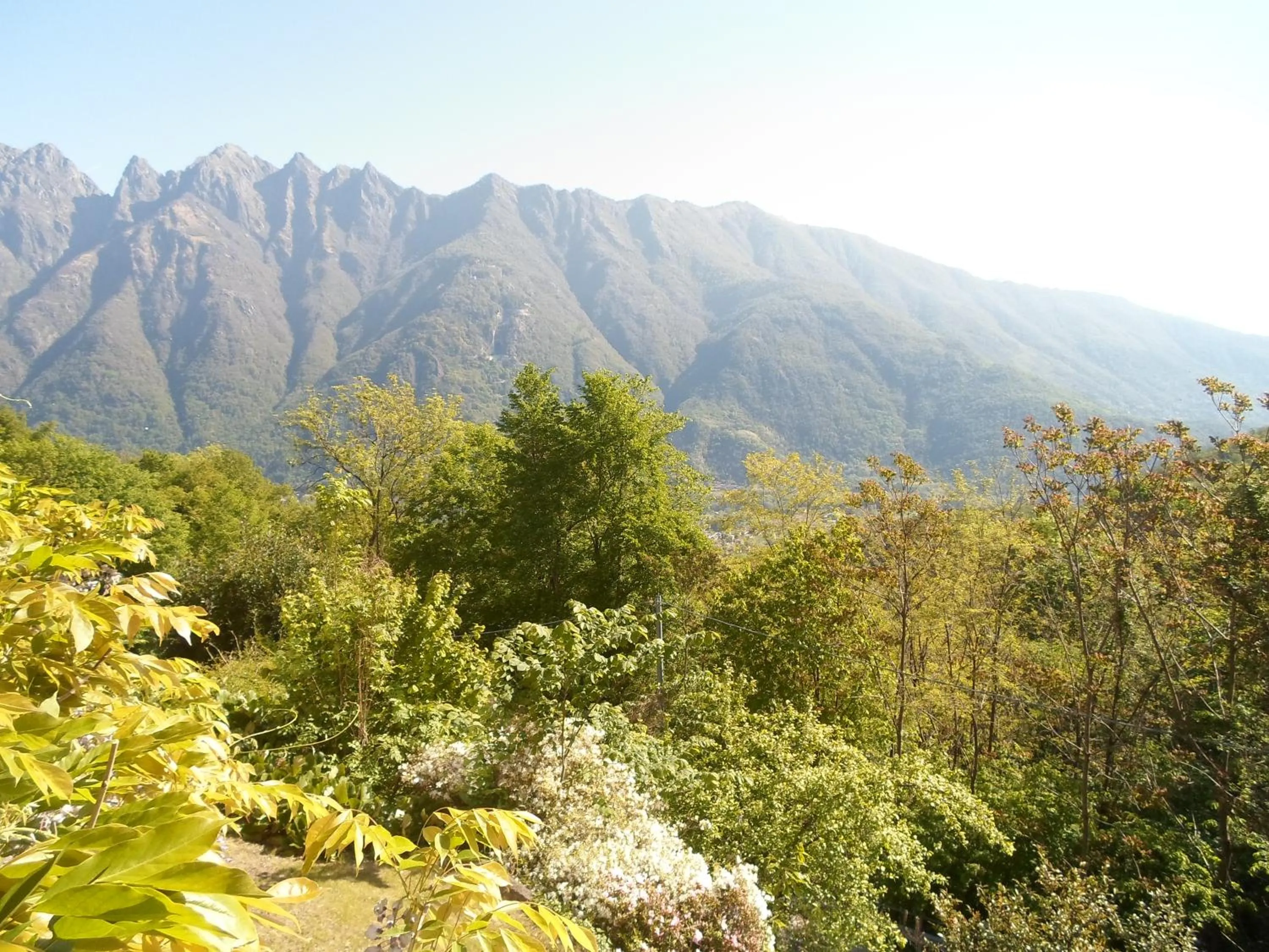 On site in Antica Trattoria del Boden