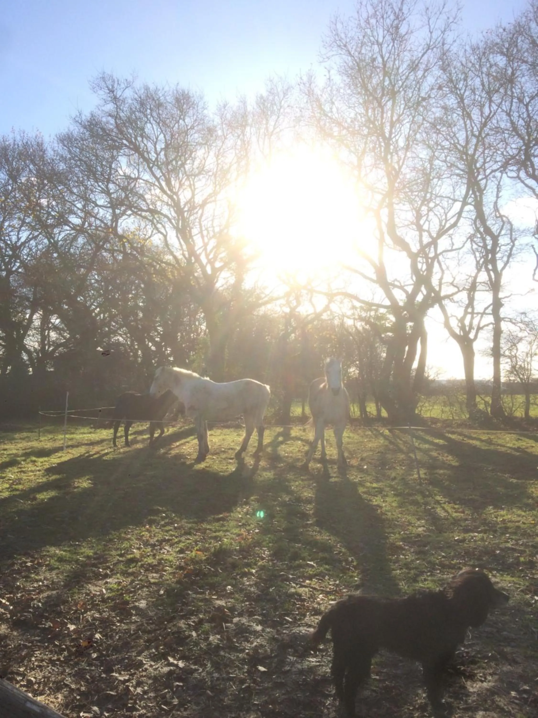 Sunset in West Lodge B&B