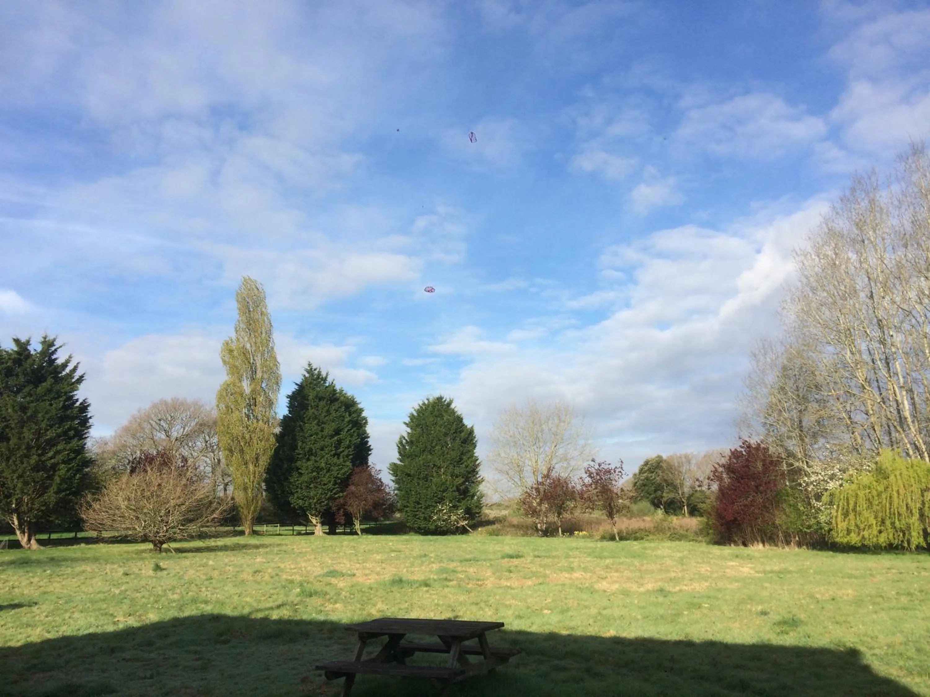 Garden in West Lodge B&B