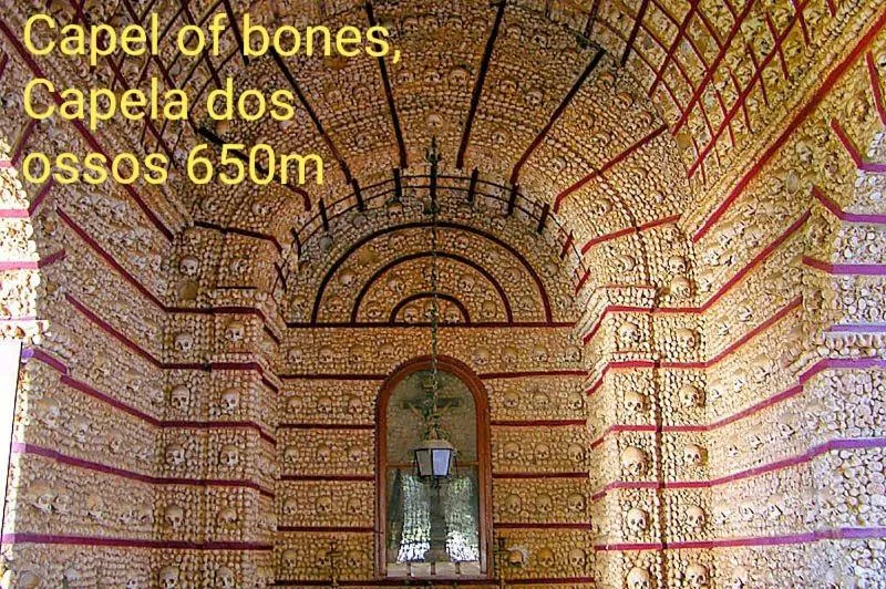 Reis Turismo