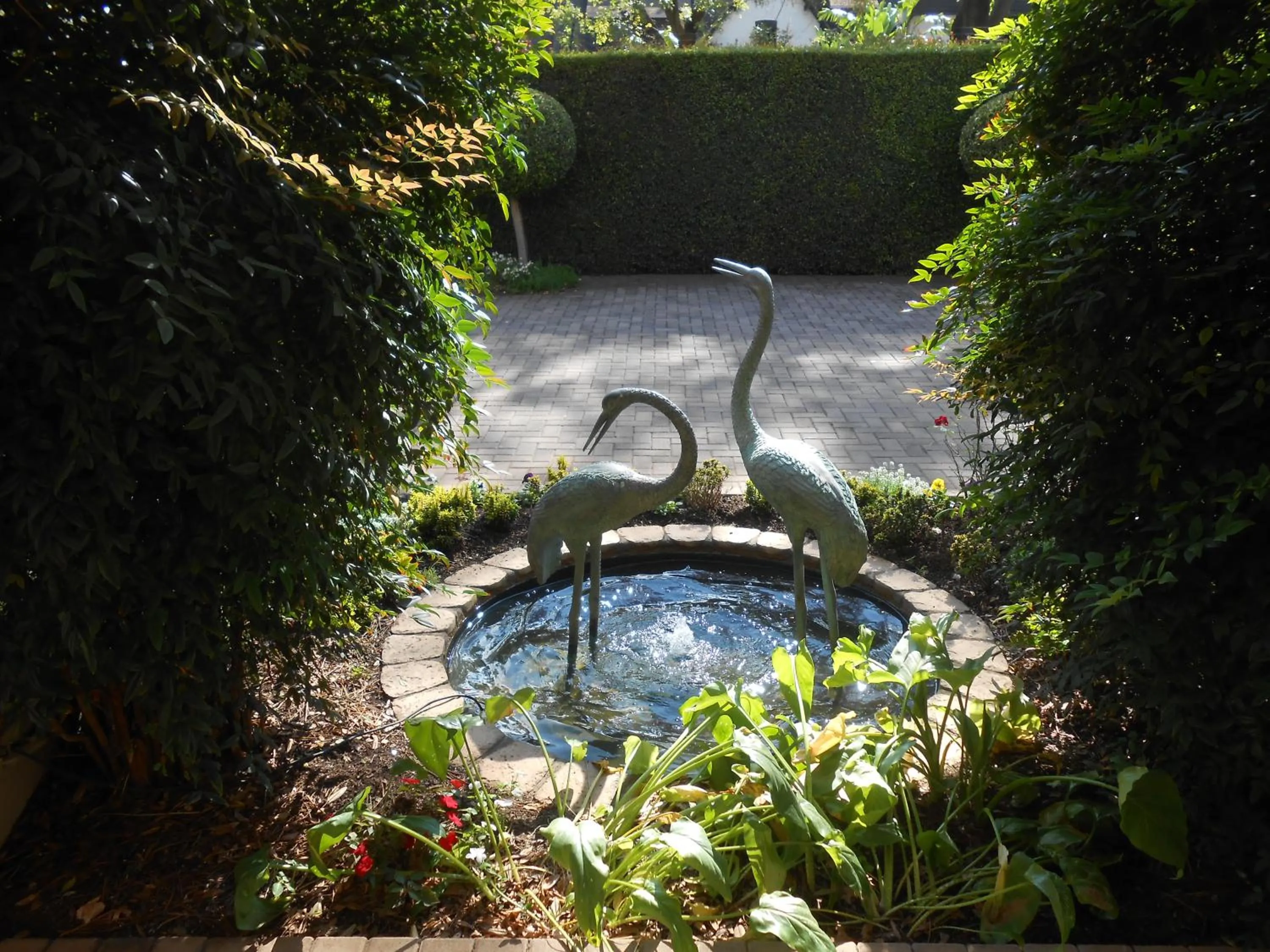 Spring in 58 On Hume