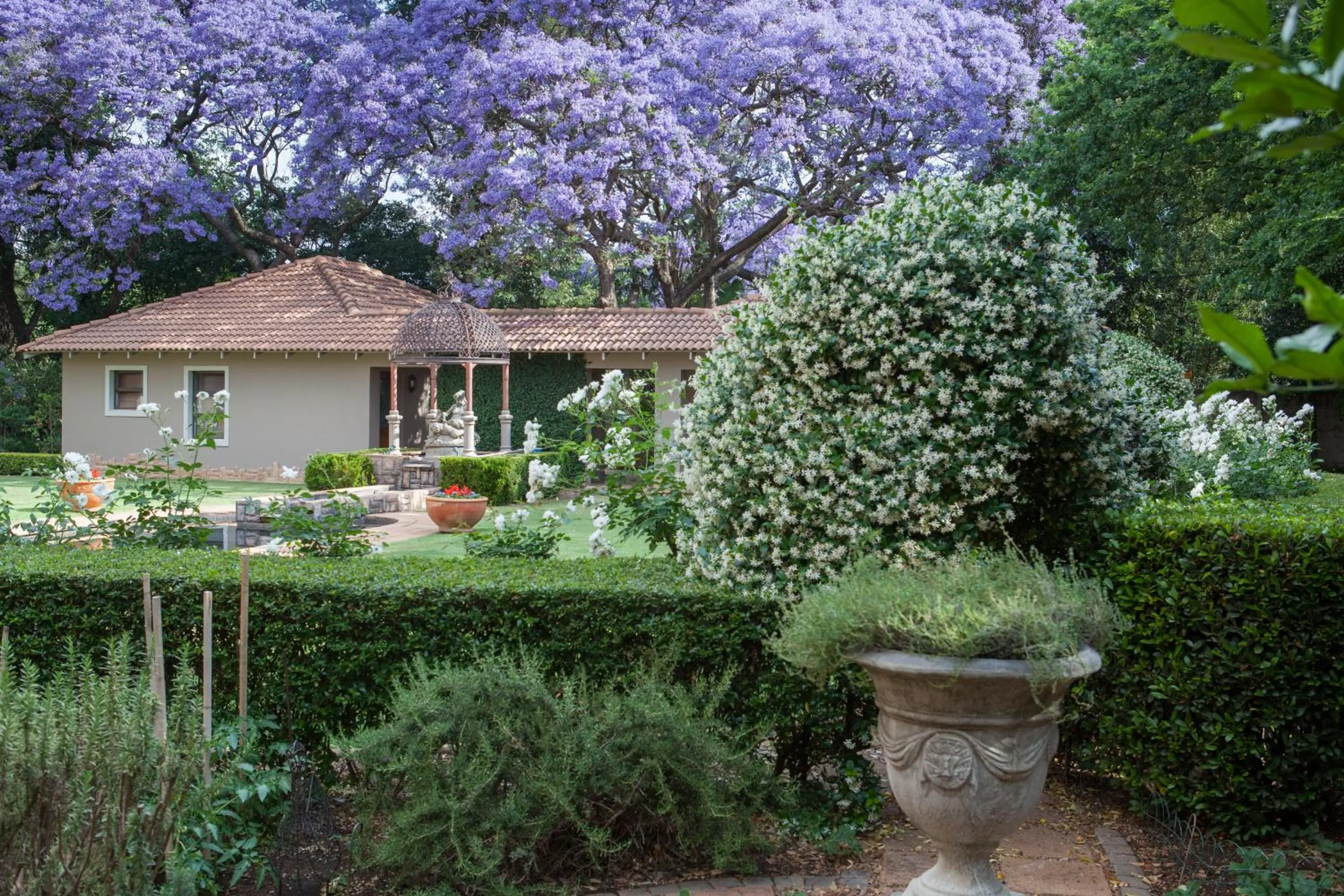 Spring in 58 On Hume