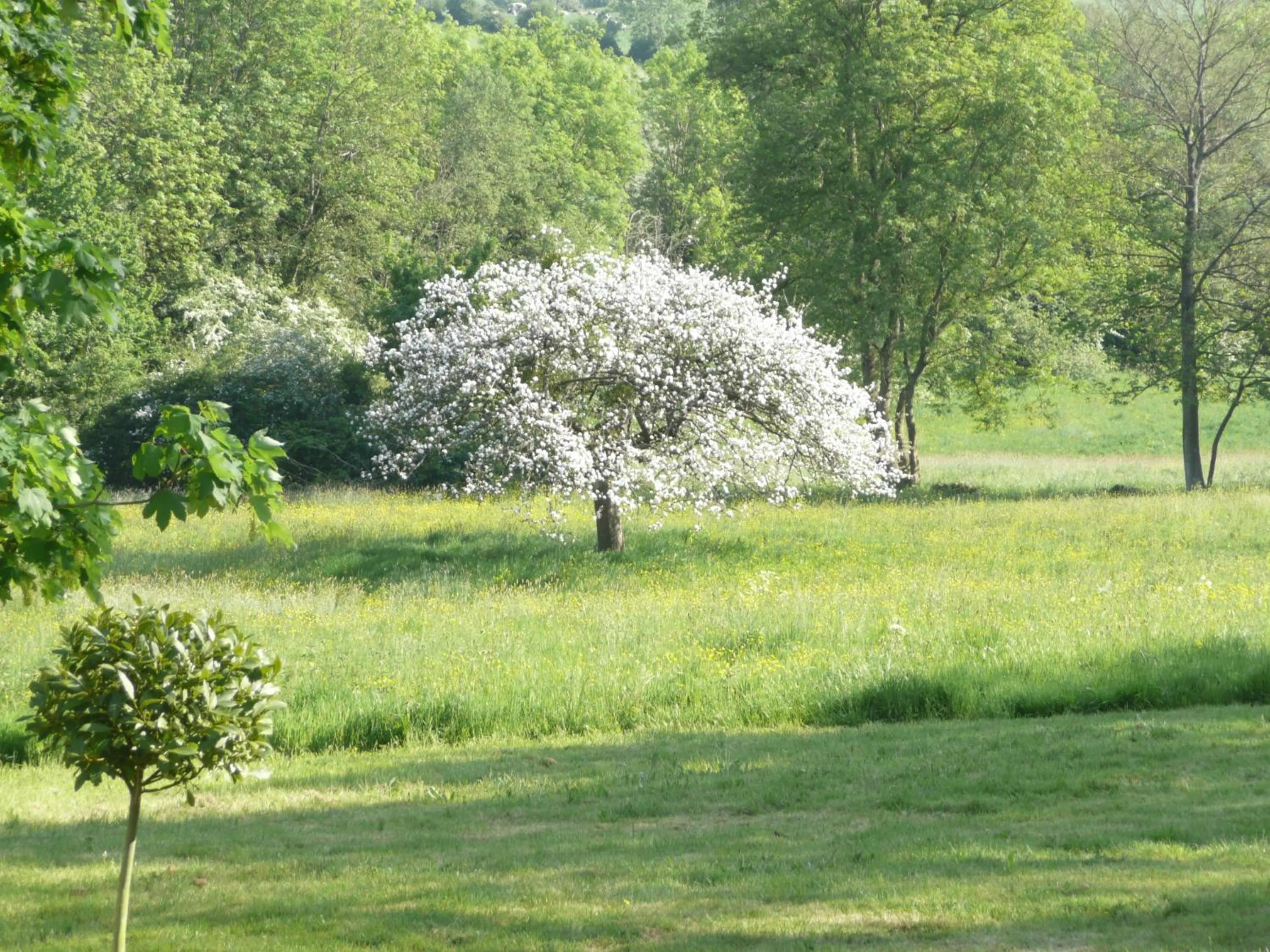 Garden in Le Prince Gourmand